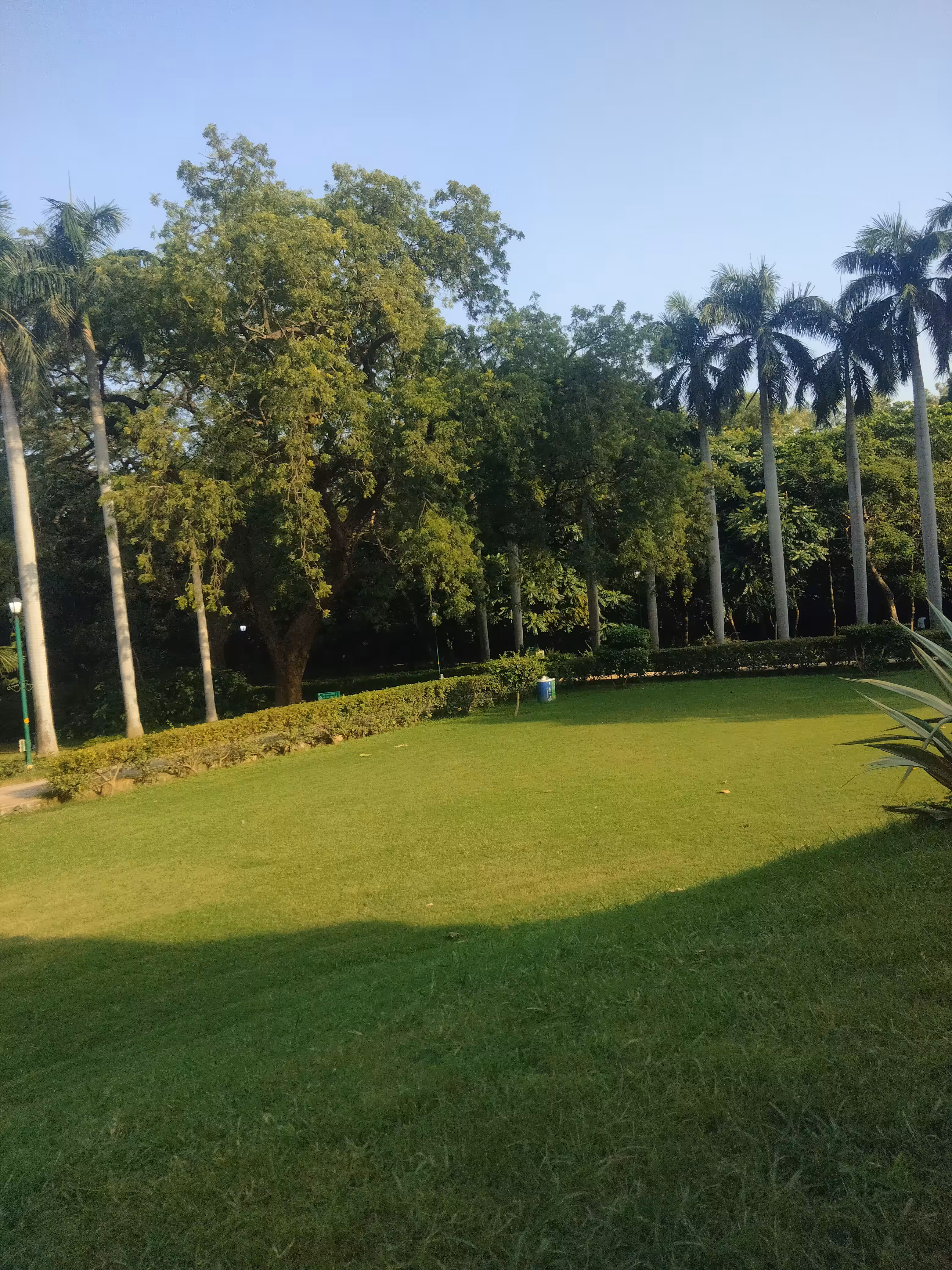 Greenery