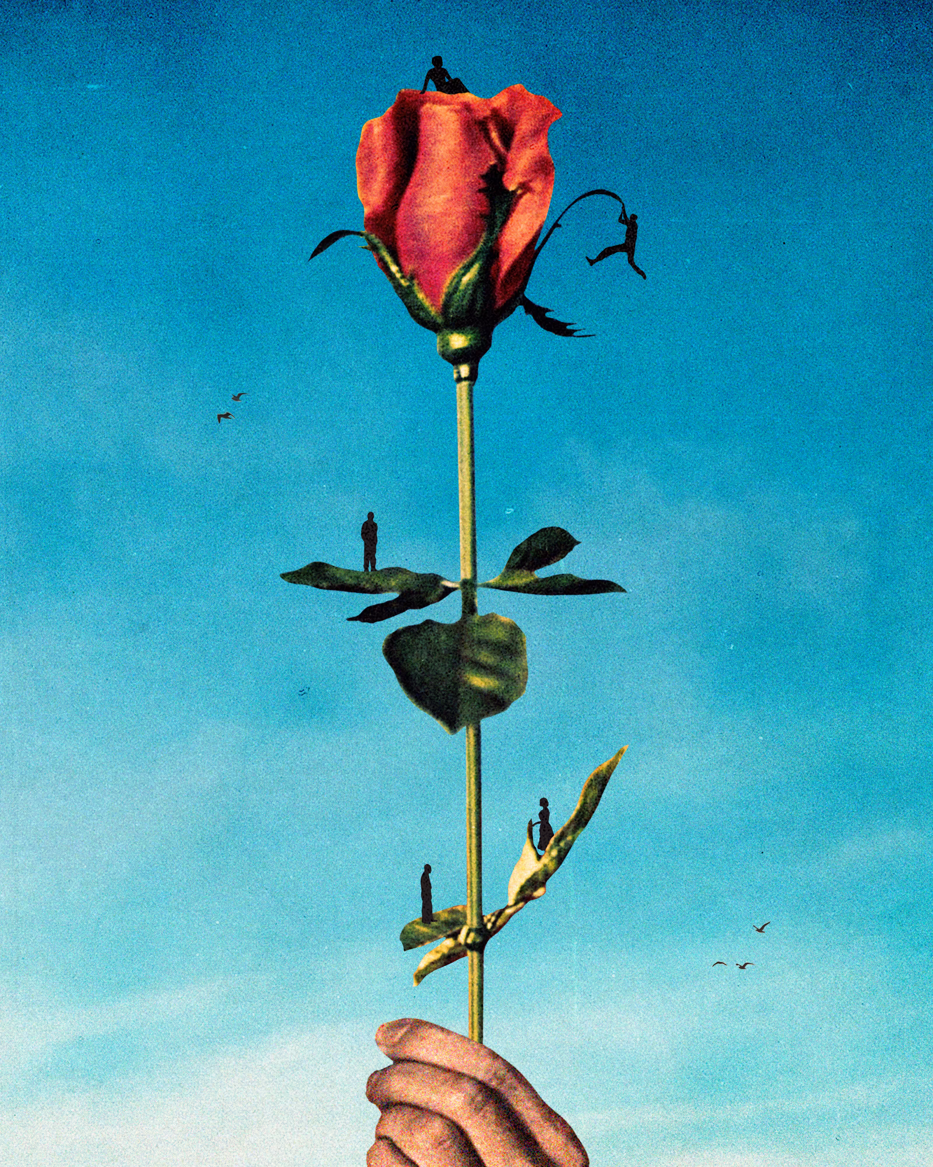 smell the roses