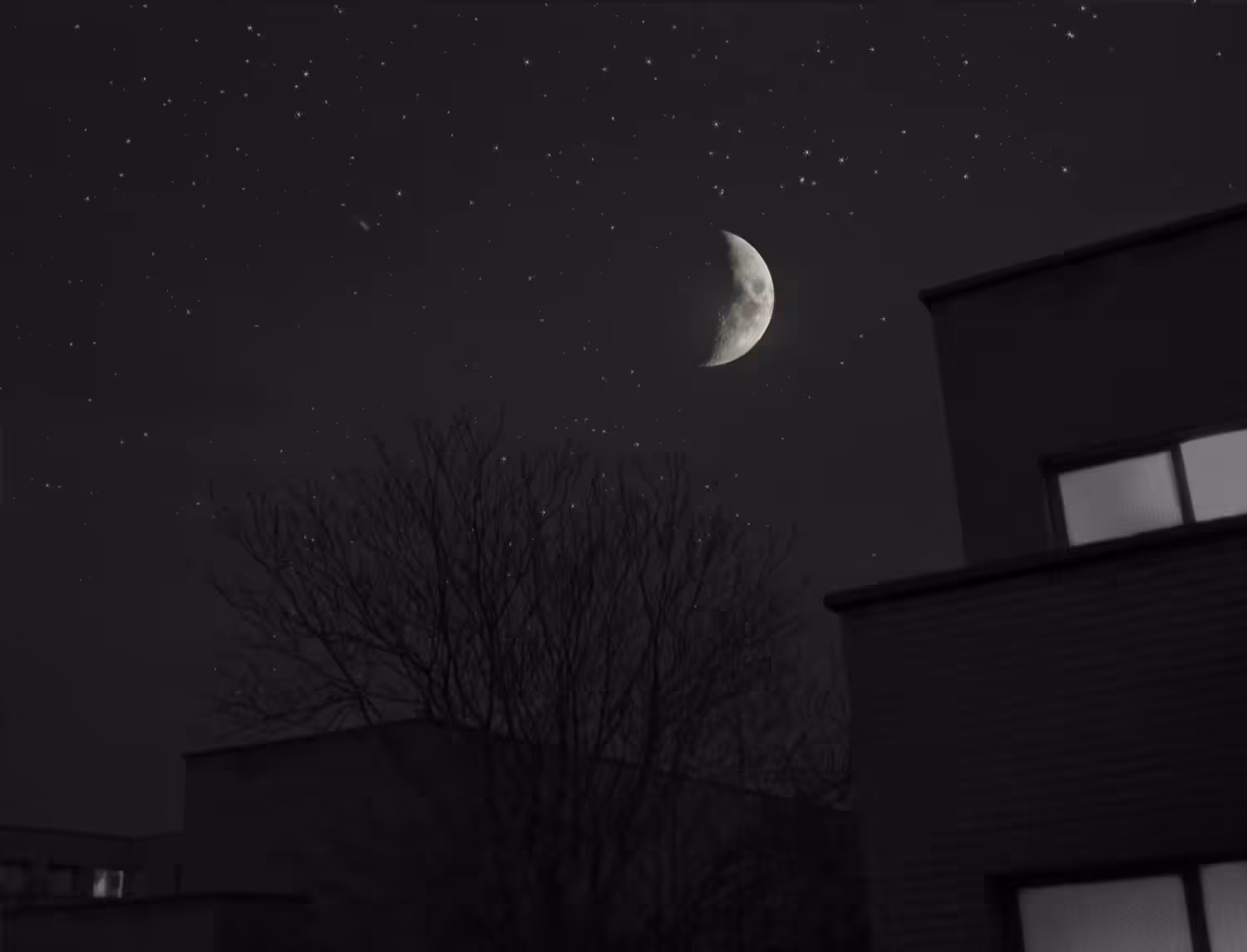 Night