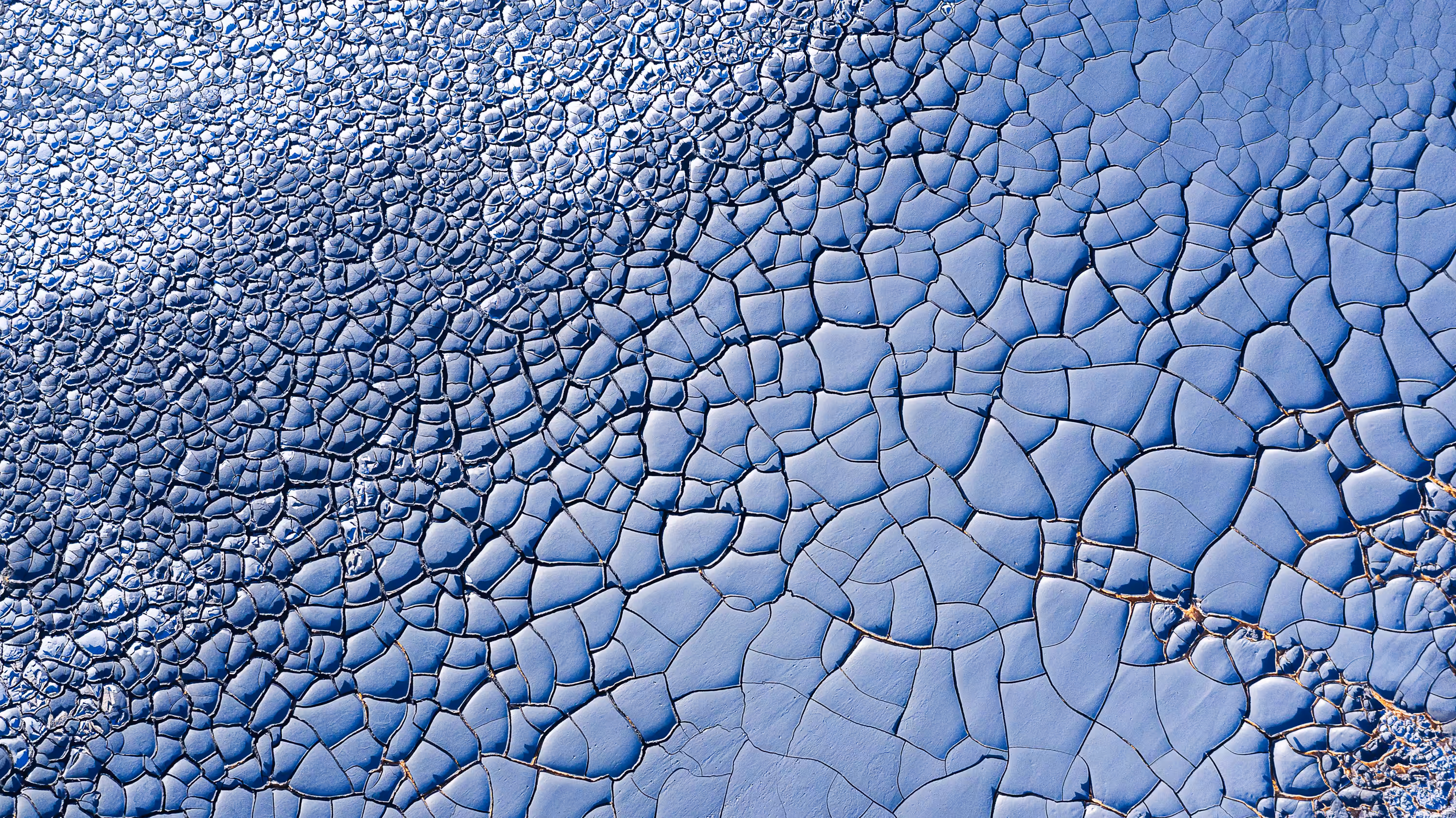 Earth Canvas #13