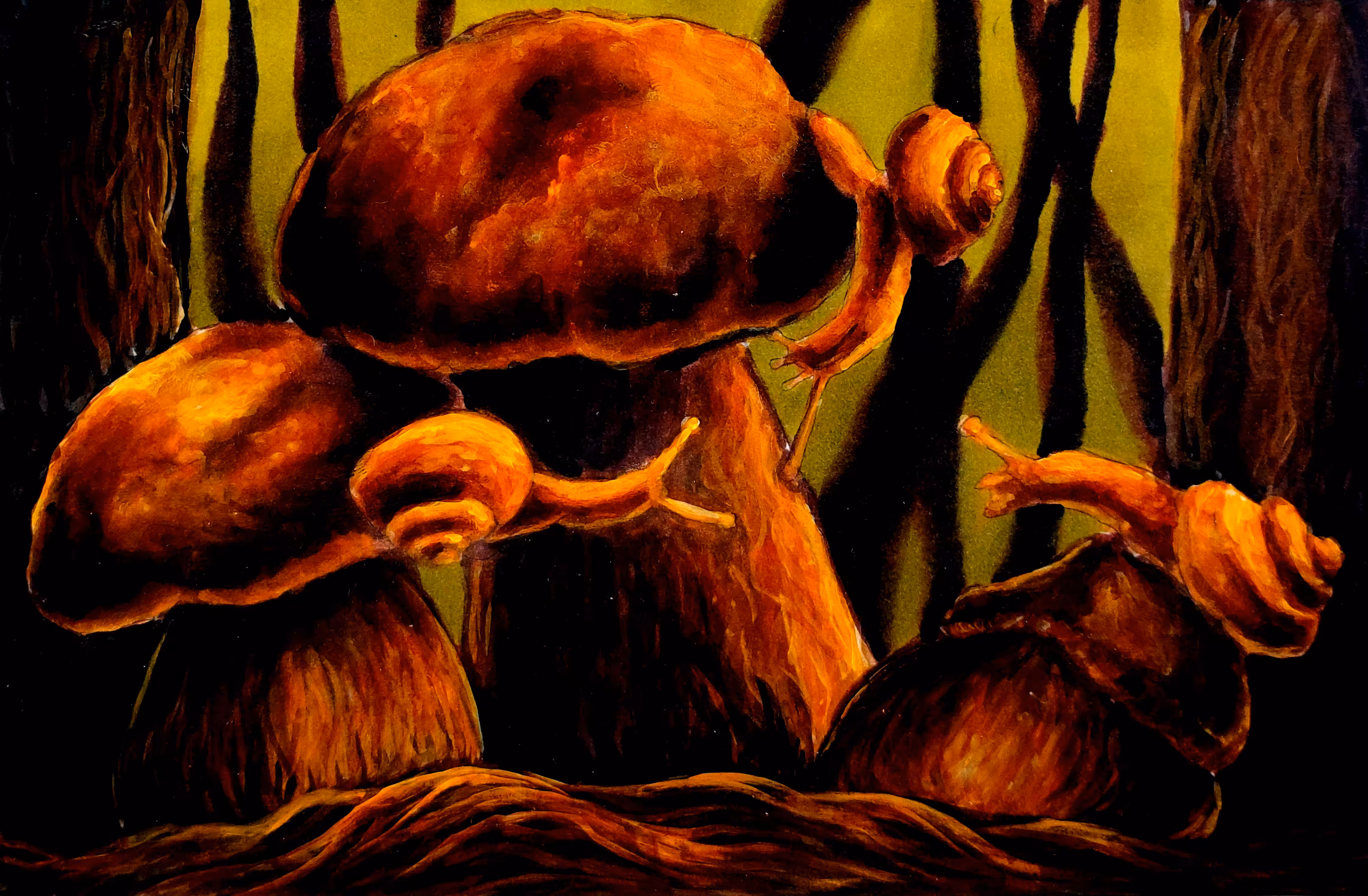 Snails & Mushrooms