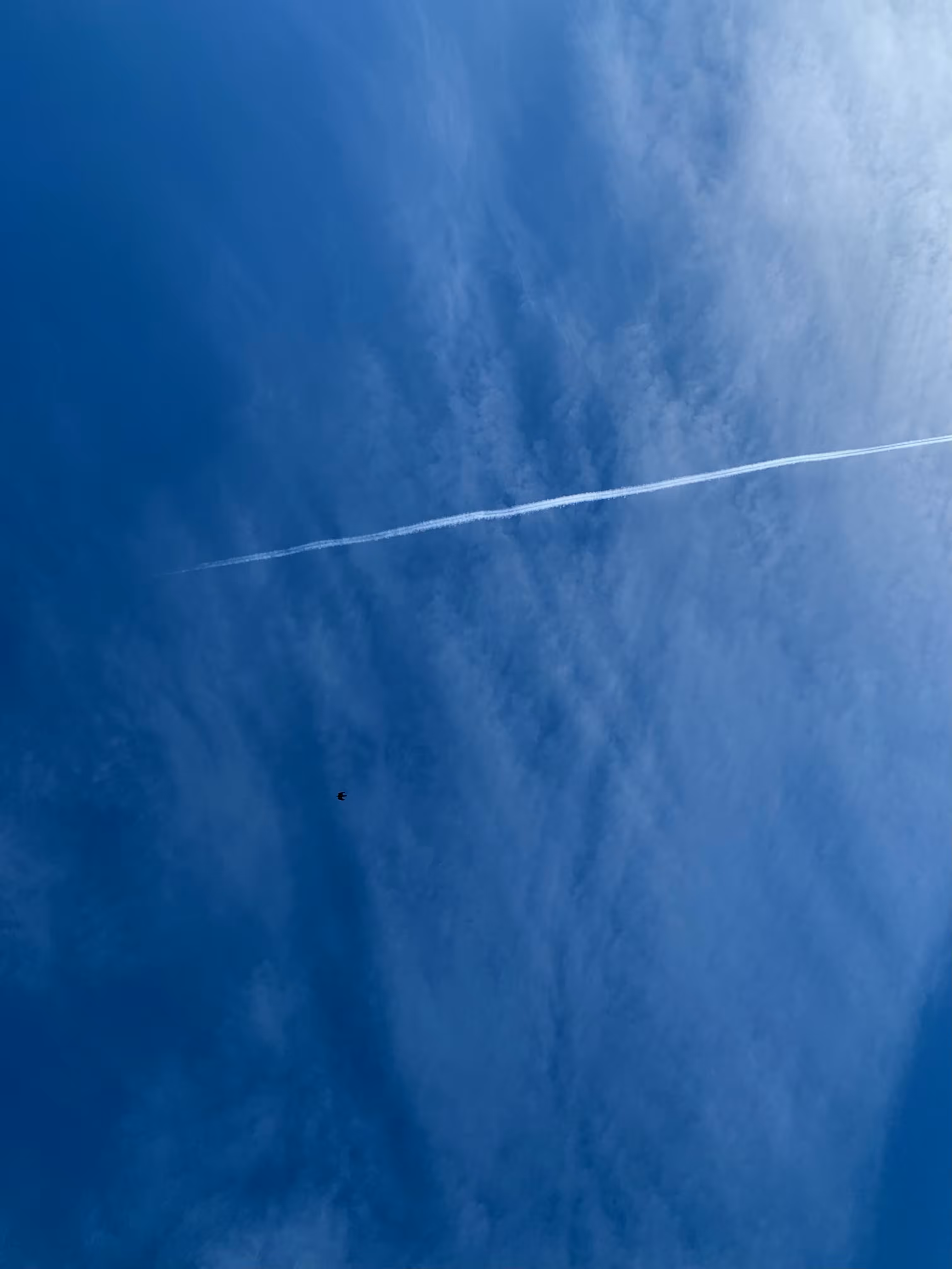 Passenger