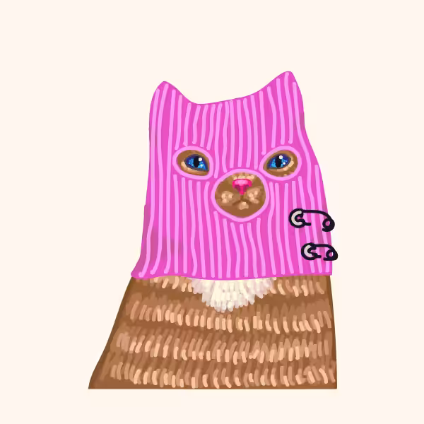 Kittens in balaclavas #49