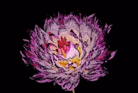 Pixel Bloom