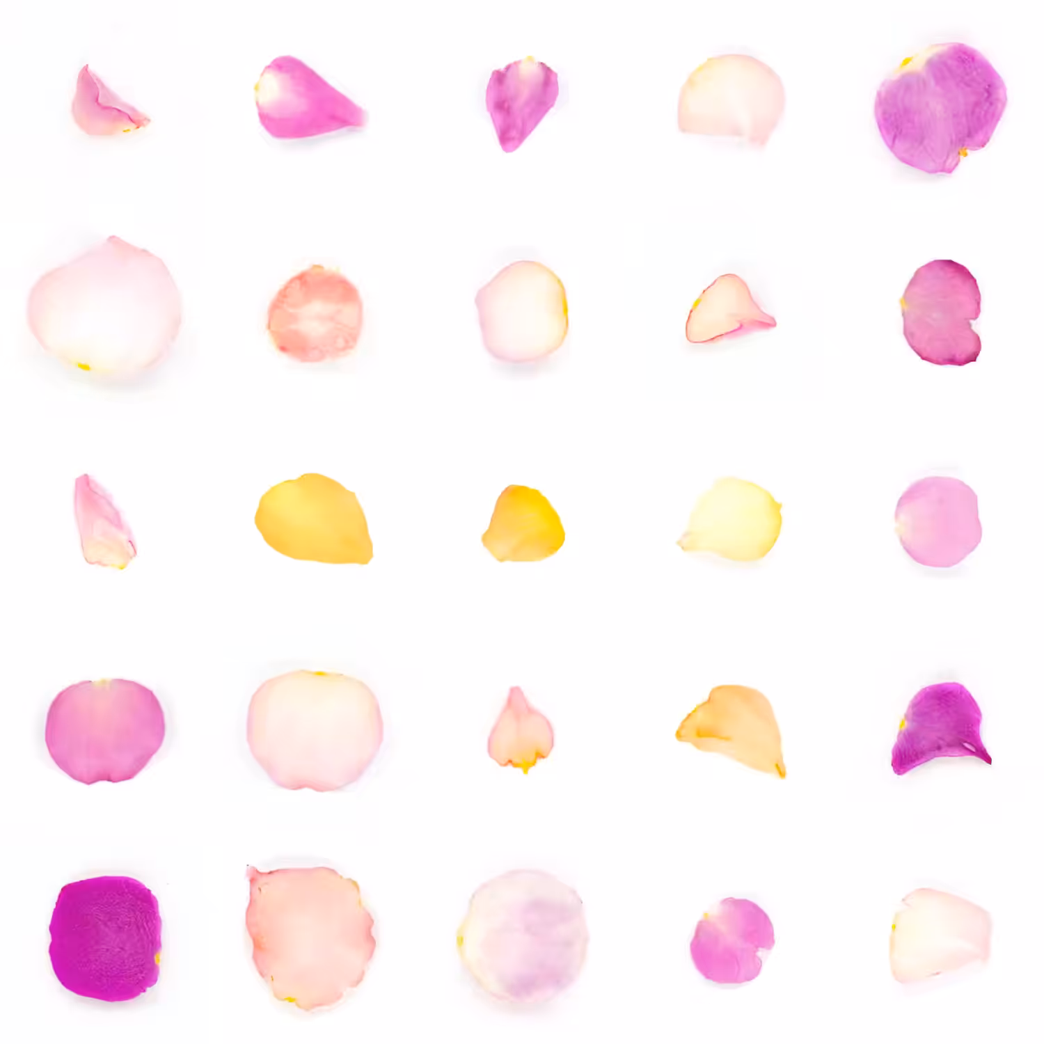 Infinite Petals 5x5#21249