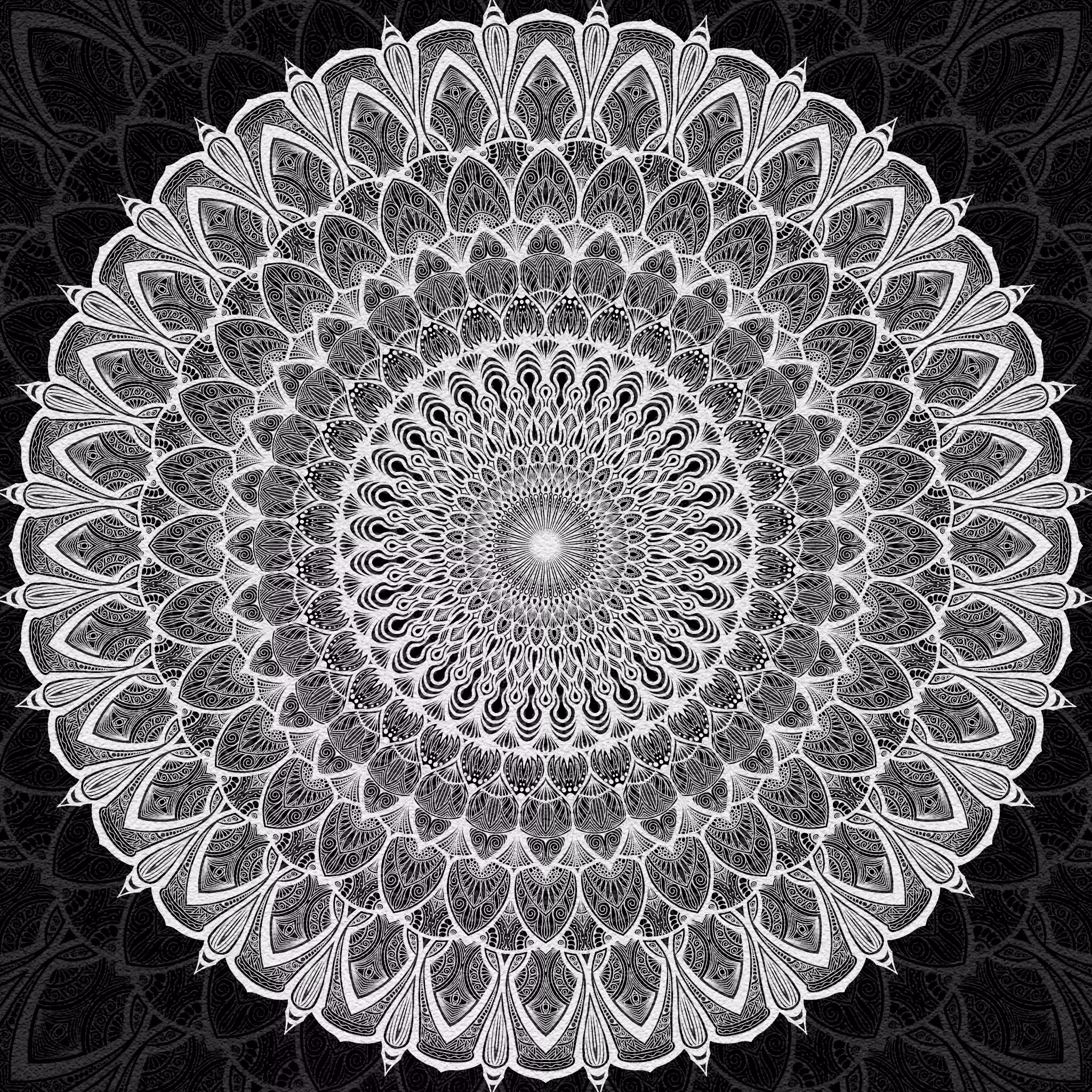 Black and White: BW Mandala 17