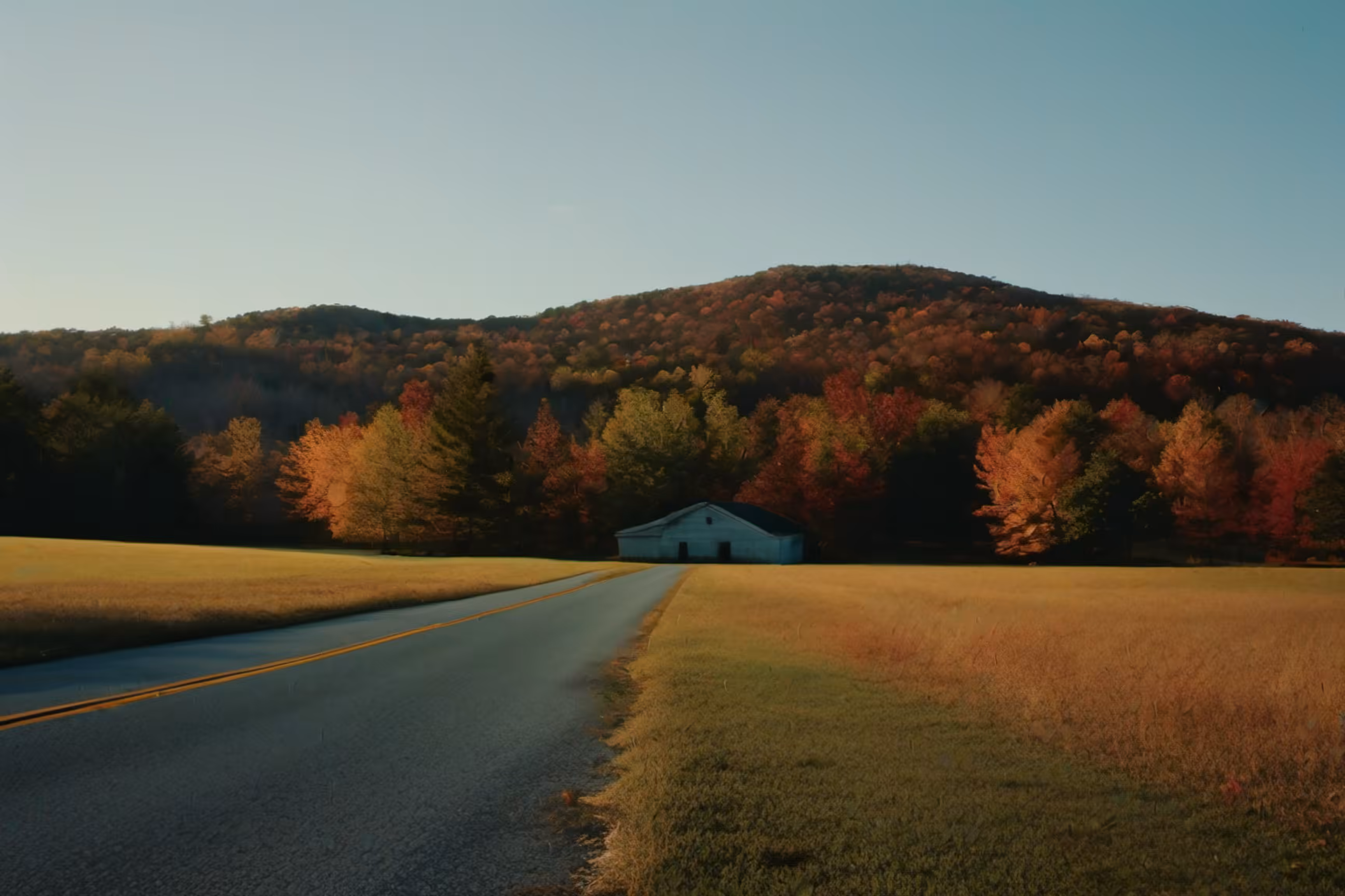 Lonely Landscapes #181