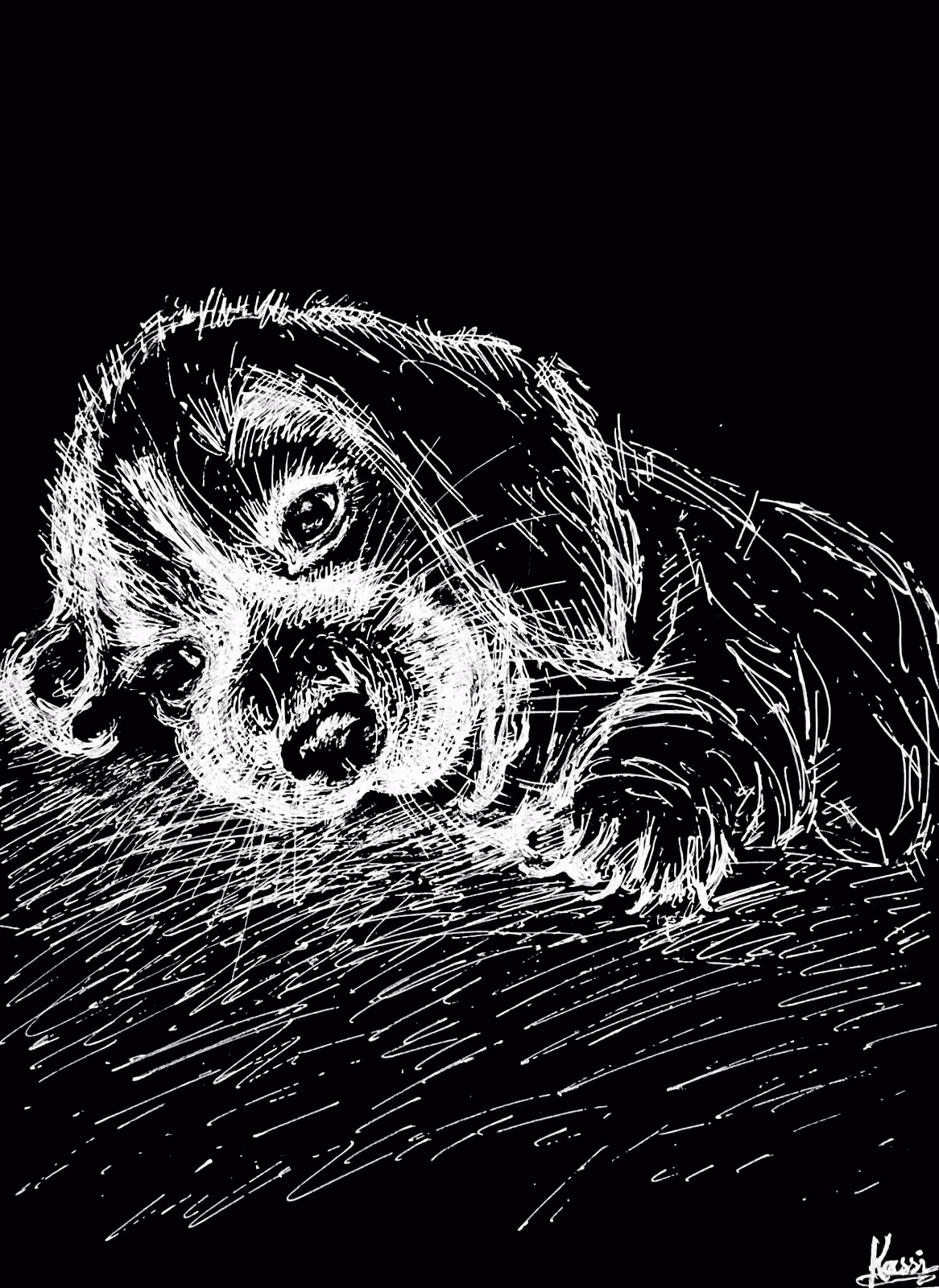 "Cute Puppy"