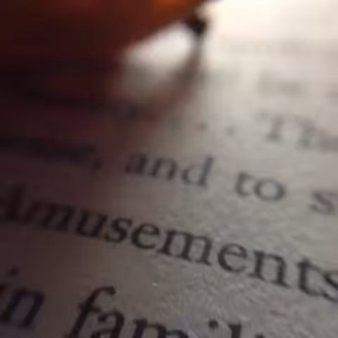 The Book Beetle, Part 1: The Burrowing