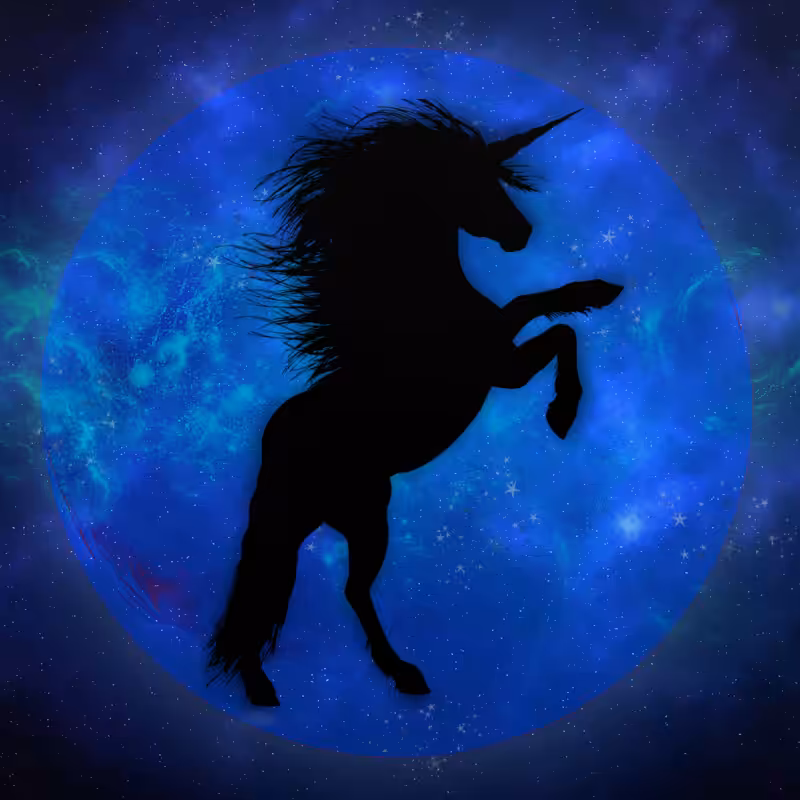 Unicorn #6