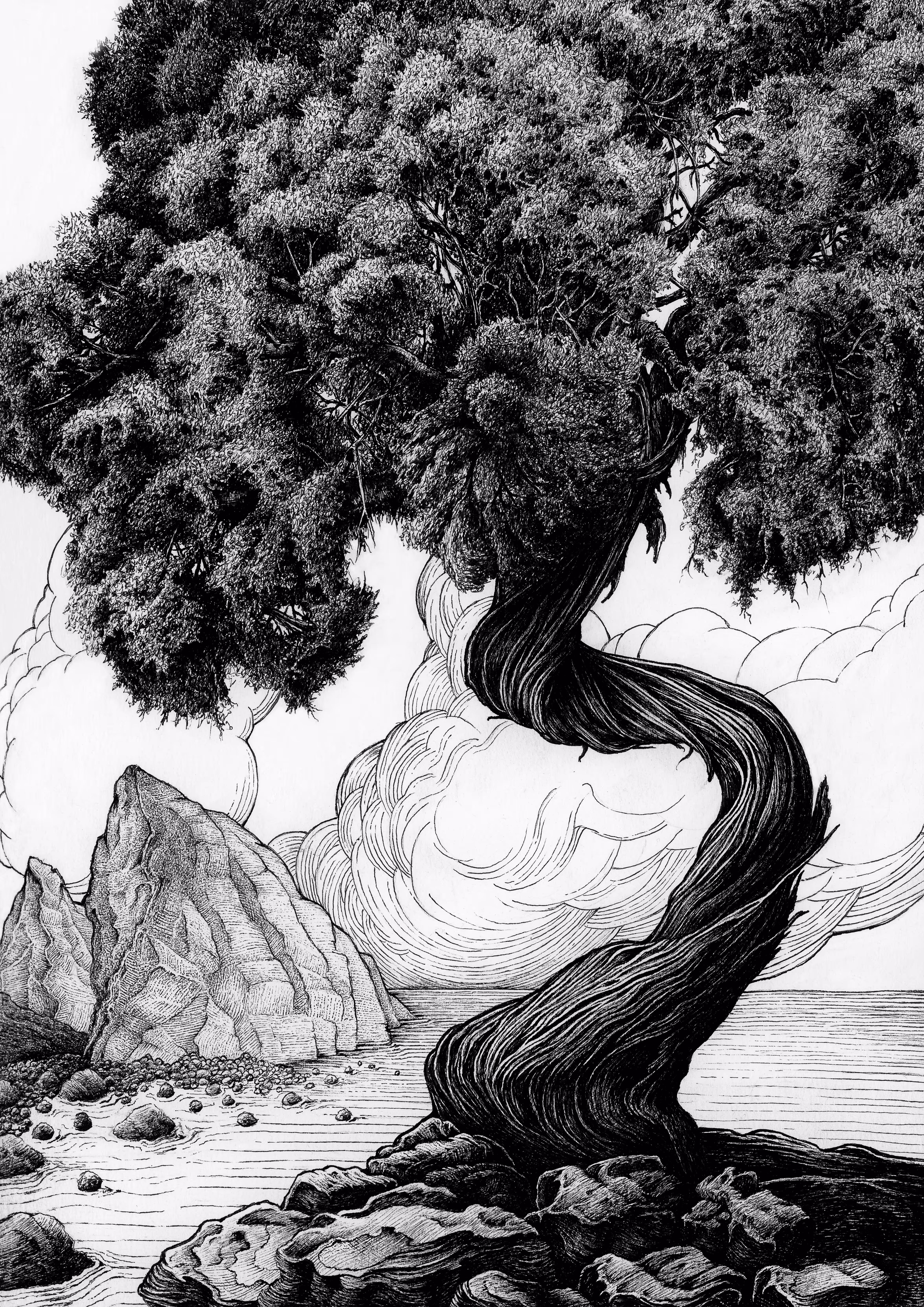 Juniper 2 
