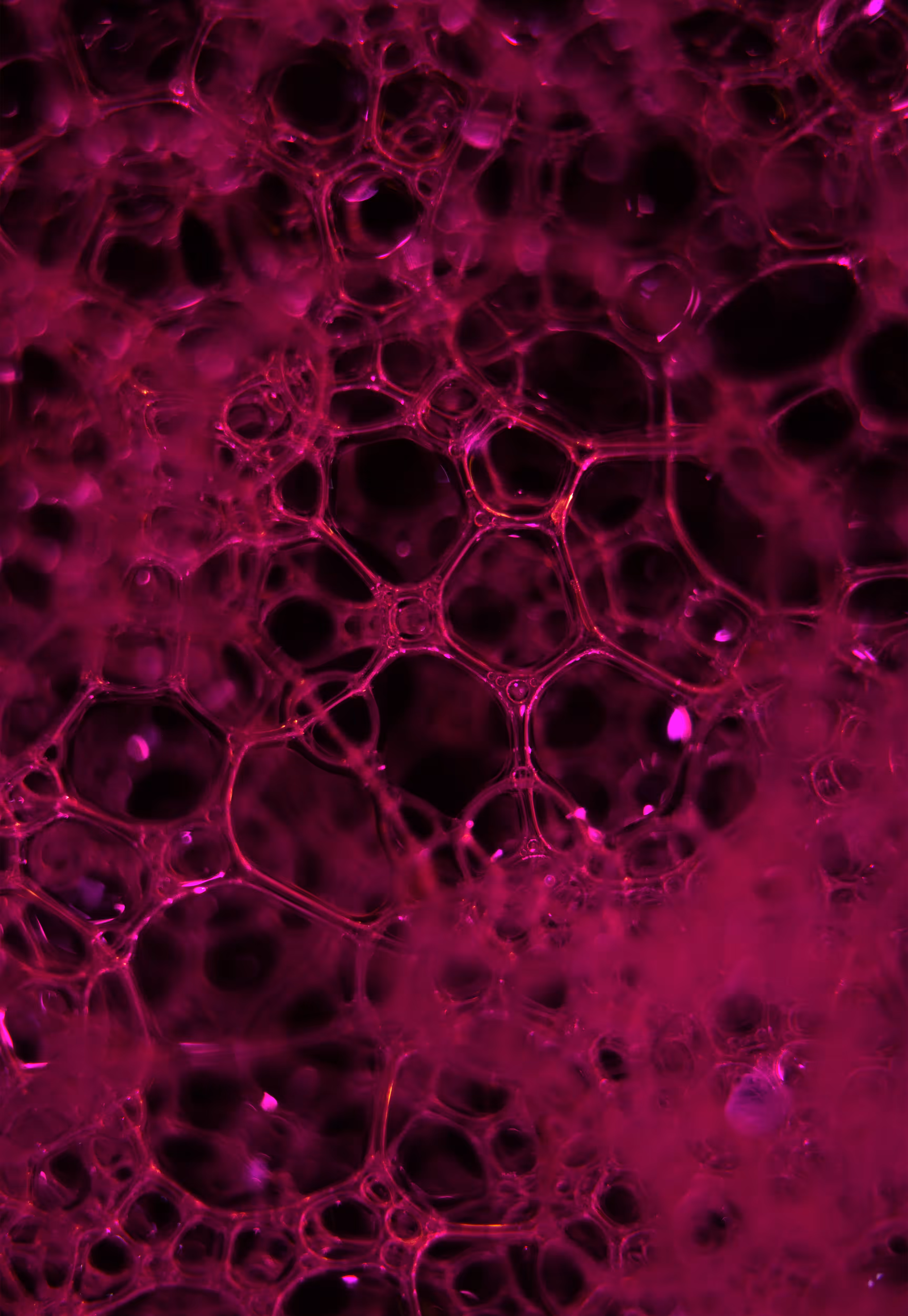 Abstract World of Soap Bubbles: #230 Bubbles