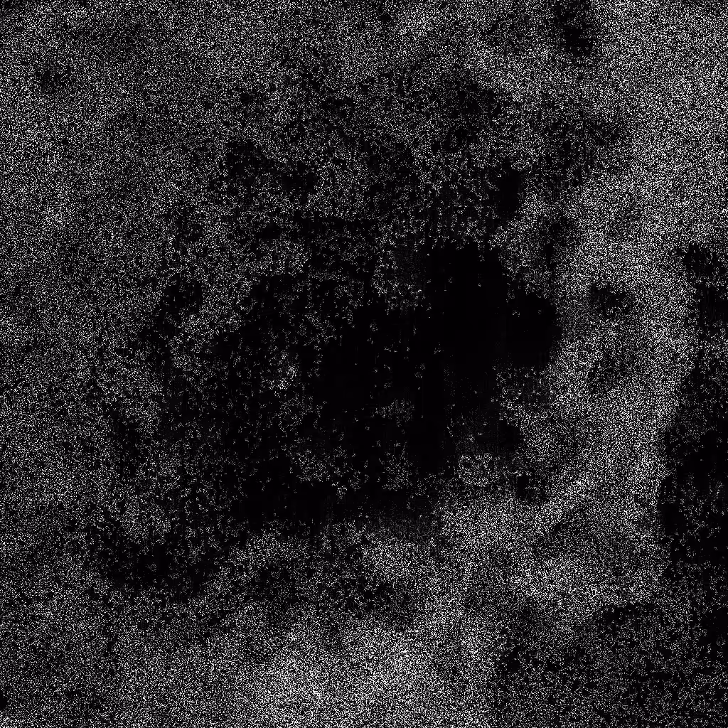 Noise #556 