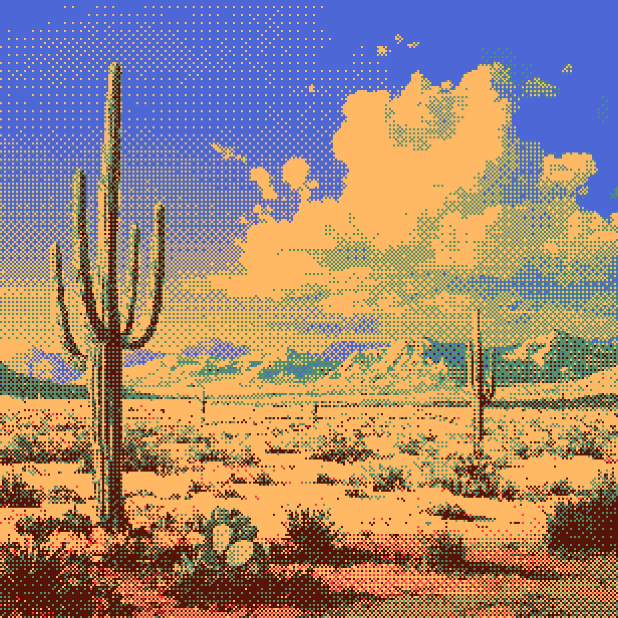 Desert Cacti