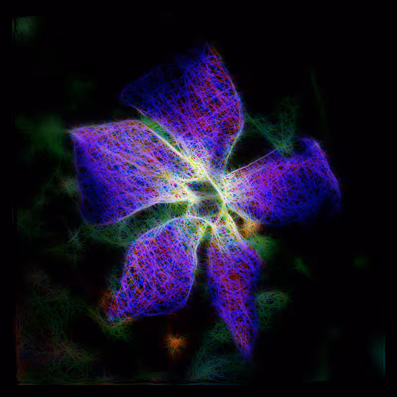 Ephemeral Violet