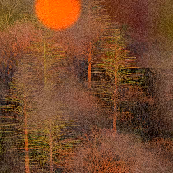 Moonlit Native Bush #125