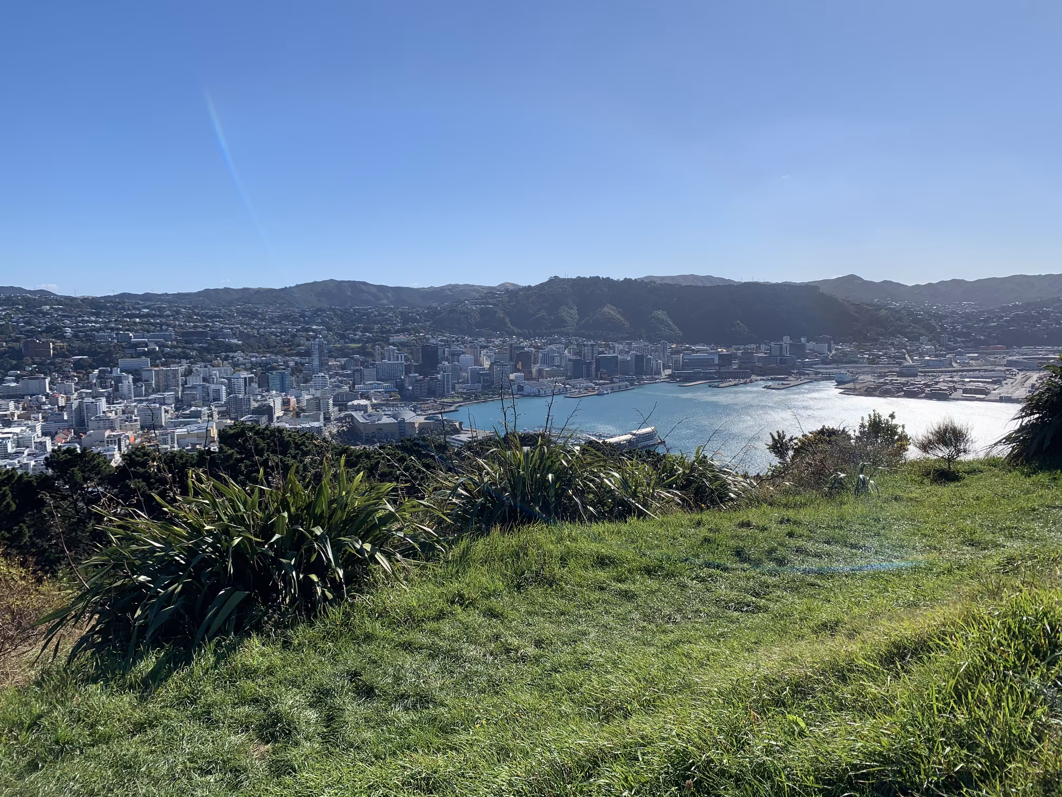 City versus Nature