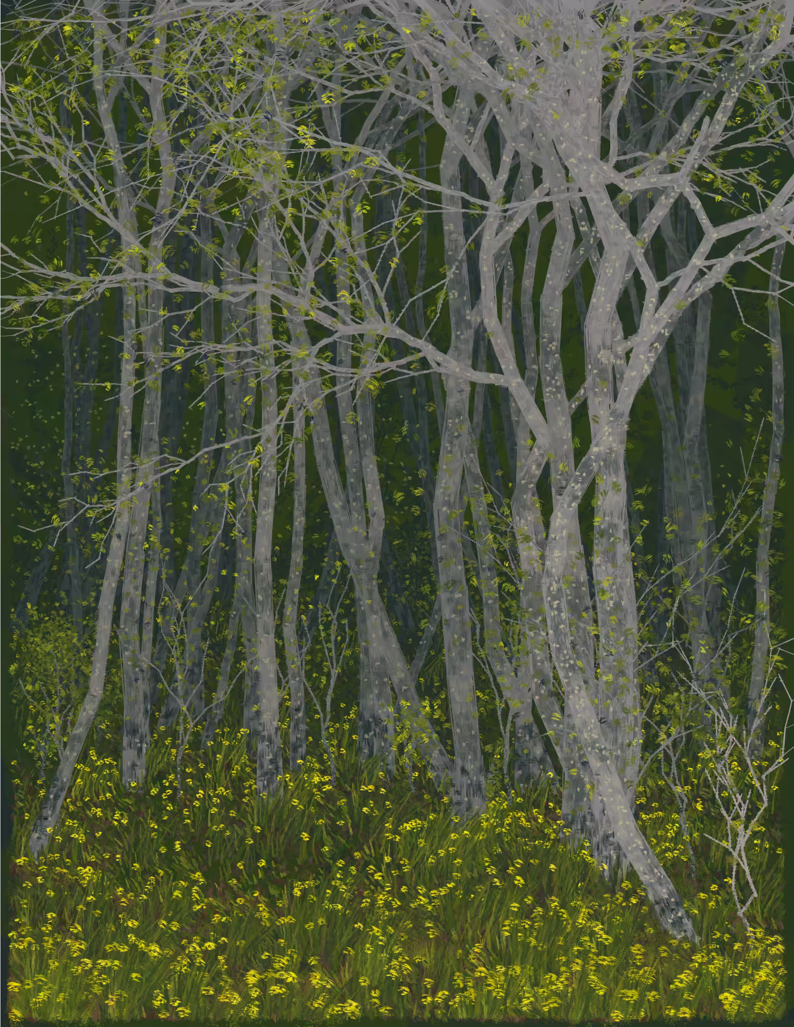 Deep Forest #68