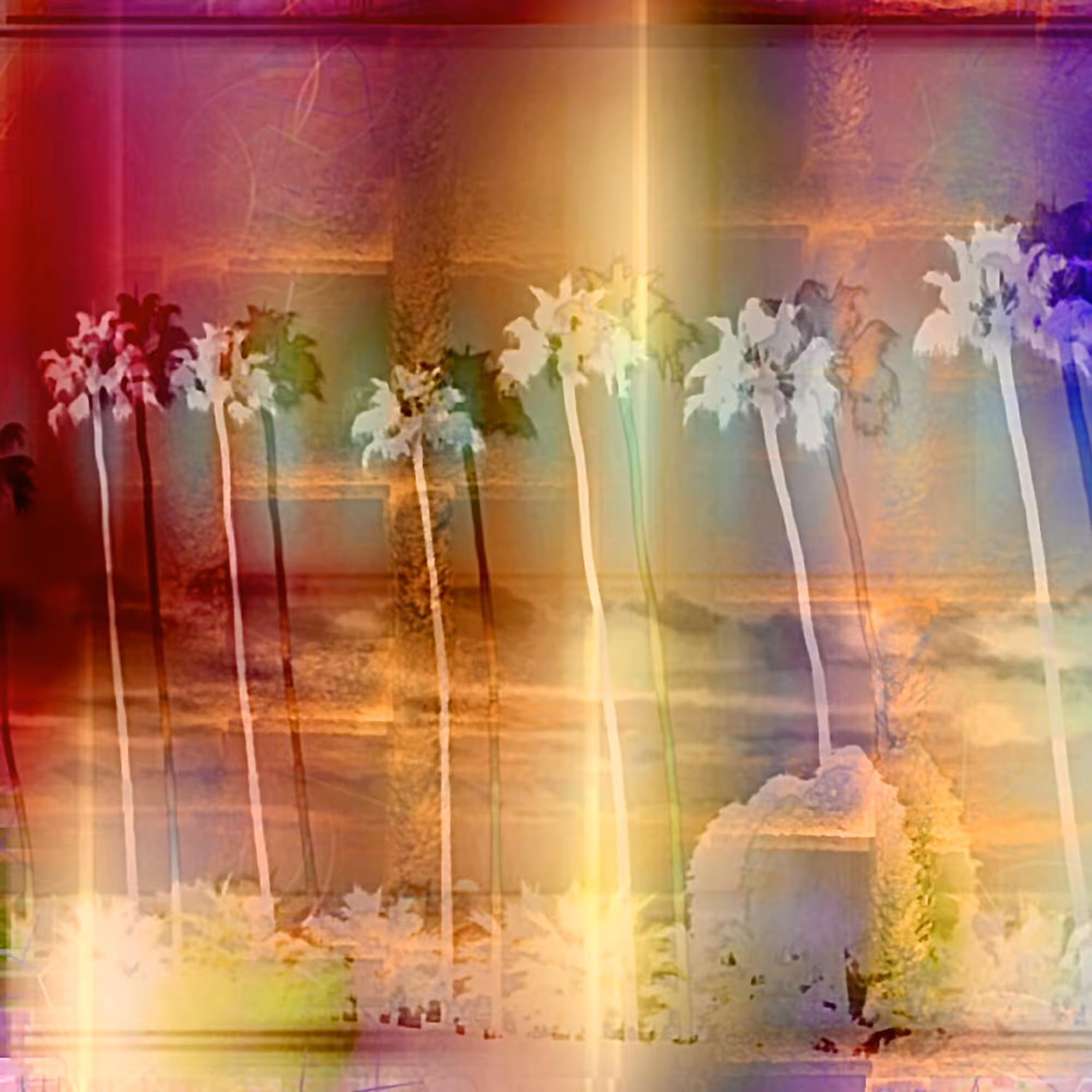Palm Shift 18