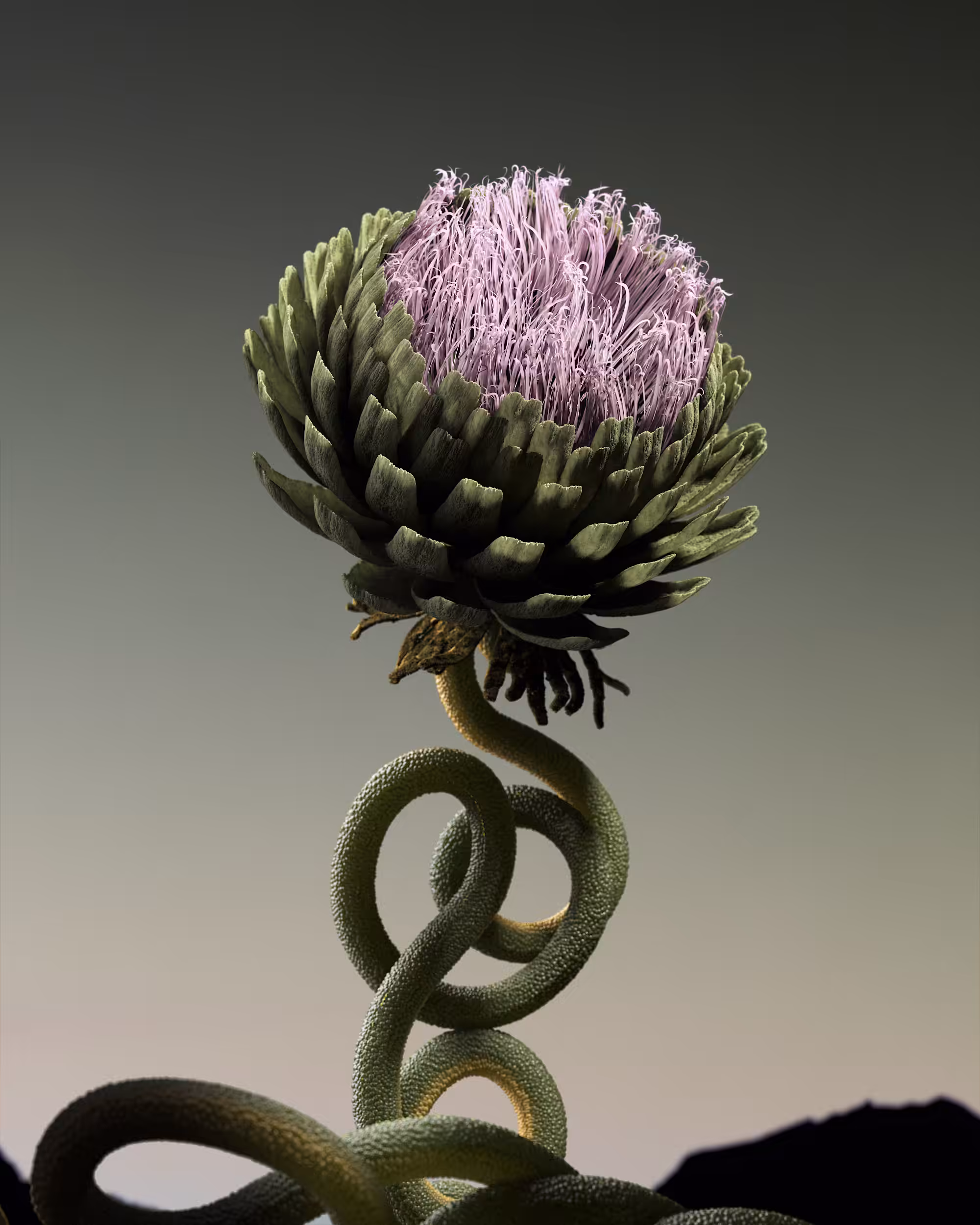 Cynara Serpentes