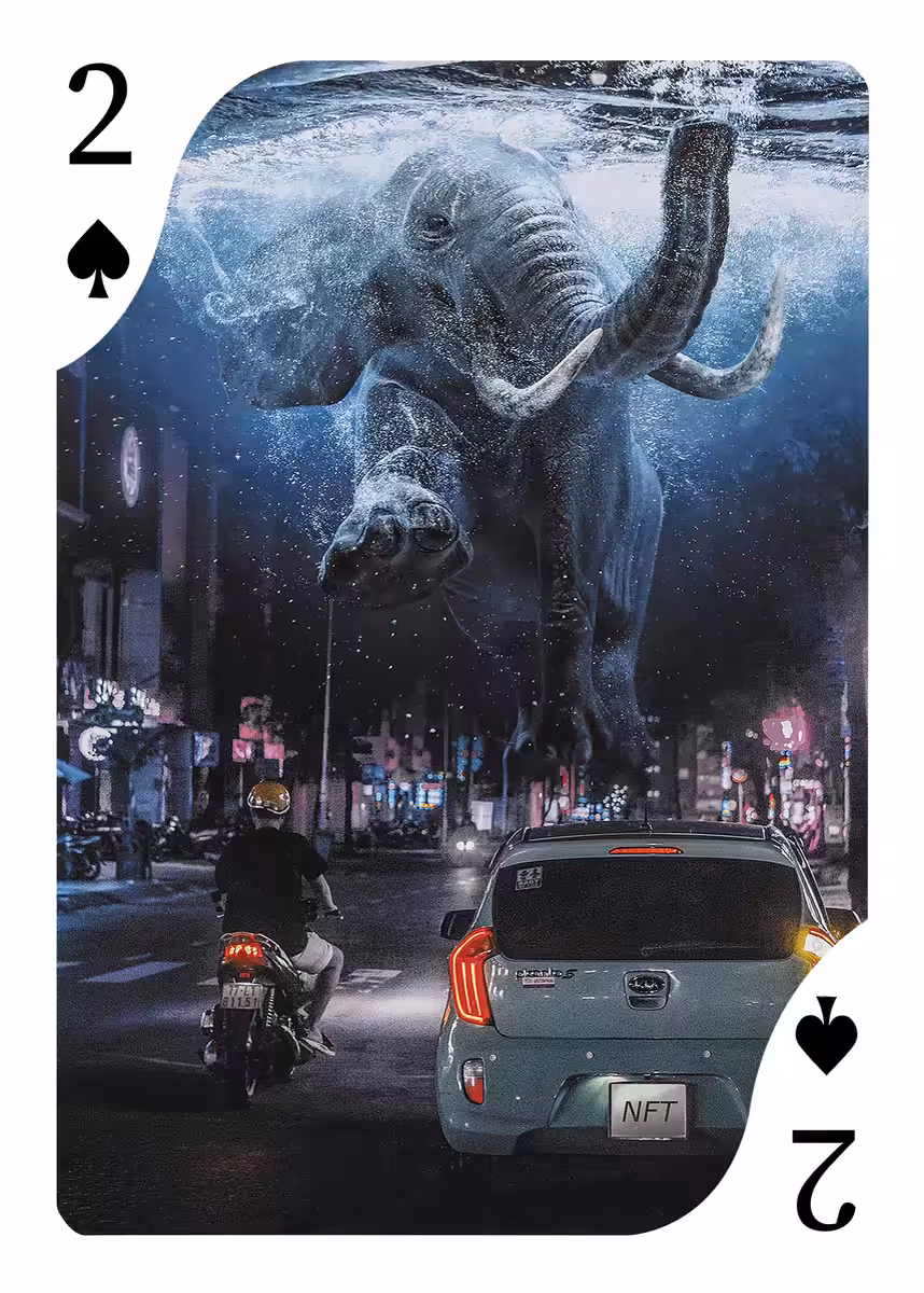 2 of Spades ♠ Swimming Elephant