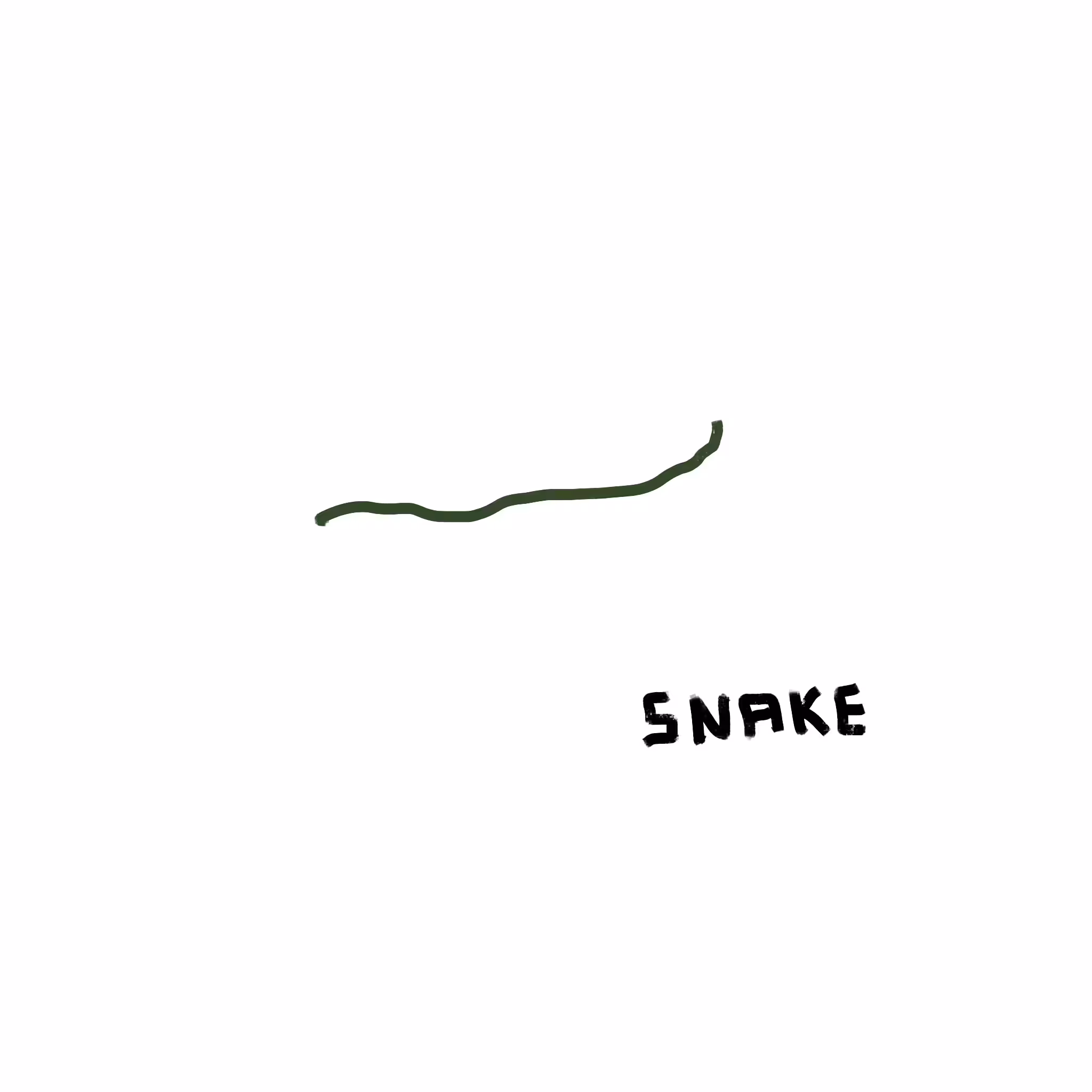 HOW I DRAW ANIMALS #8