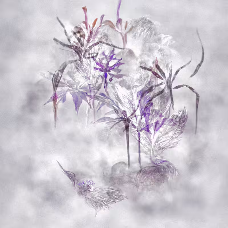 Hauntological Herbarium #21