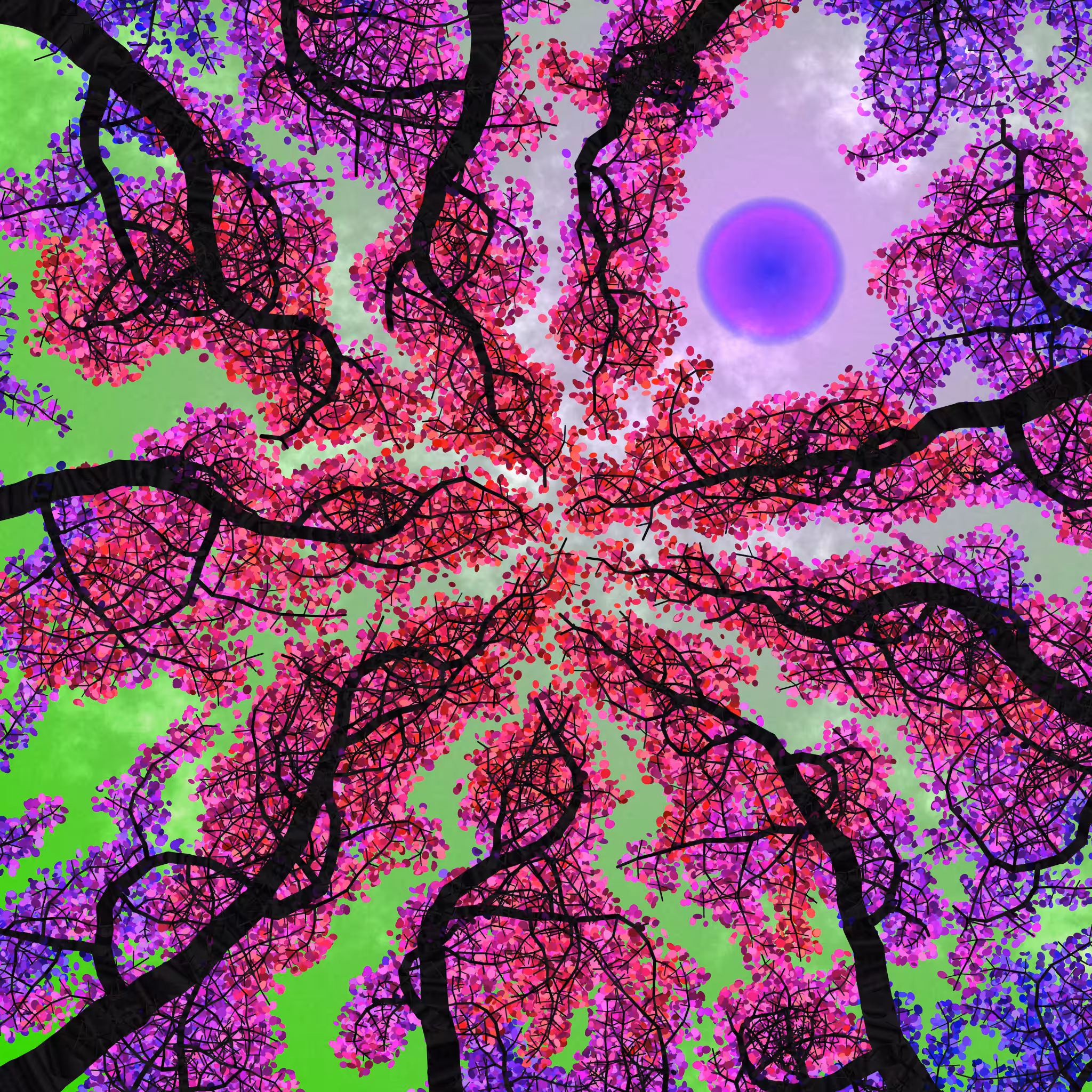 Tree Skyness #230