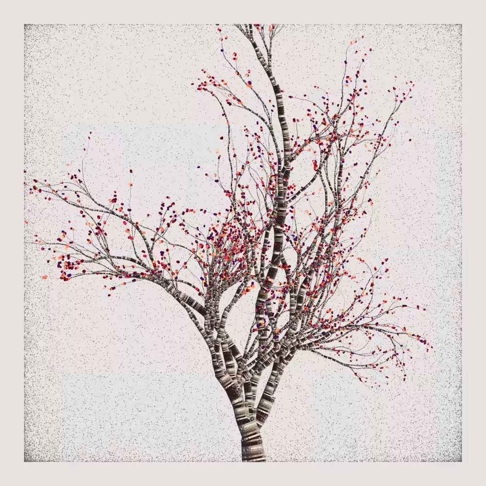 Bougainvillea #149