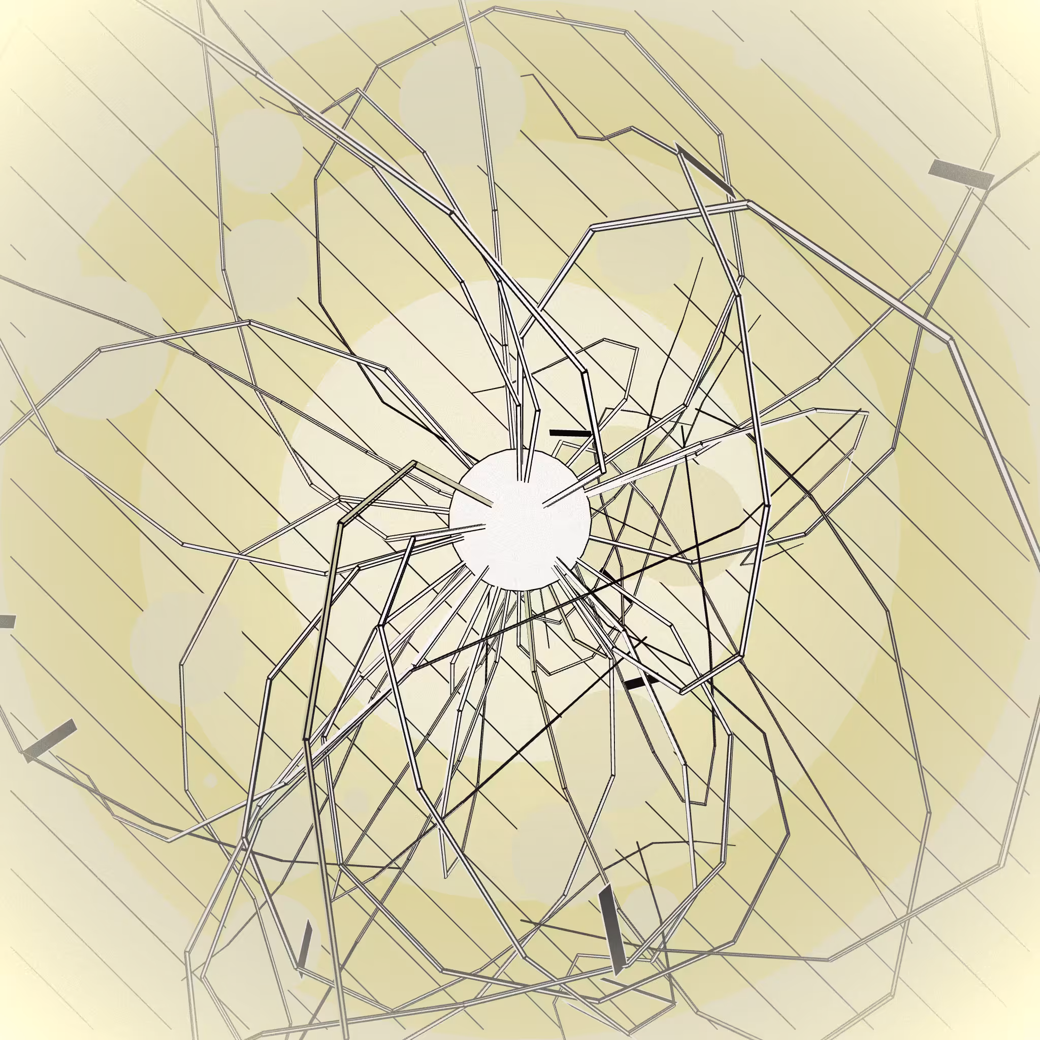 The other spider