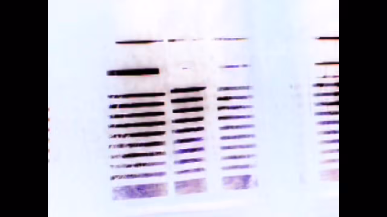 01100011 01101111 01101110 01110100 01101001 01101110 01110101 01101001 01110100 01111001