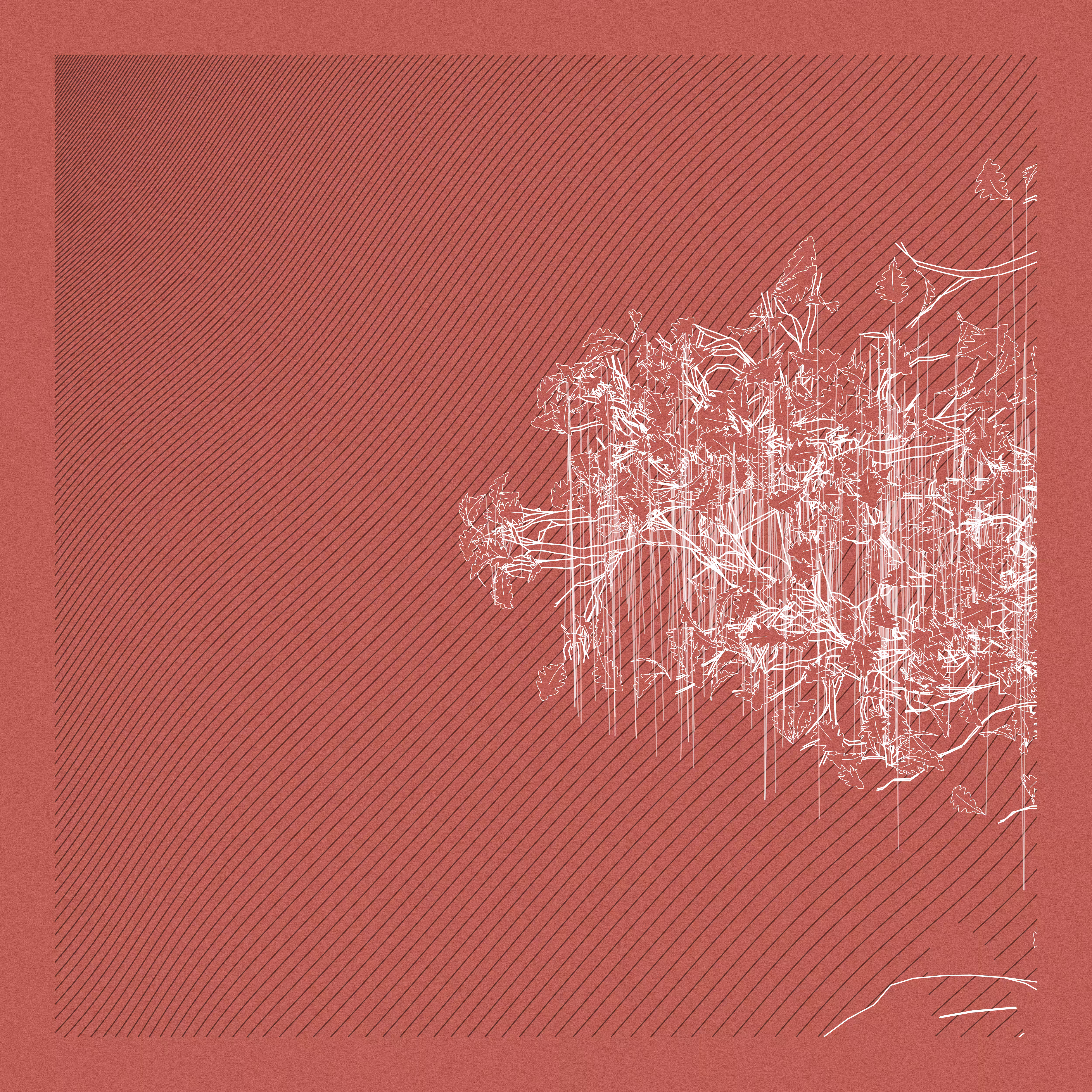 A Bugged Forest #388