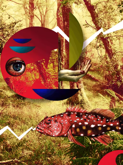 Composition with Fish 2
