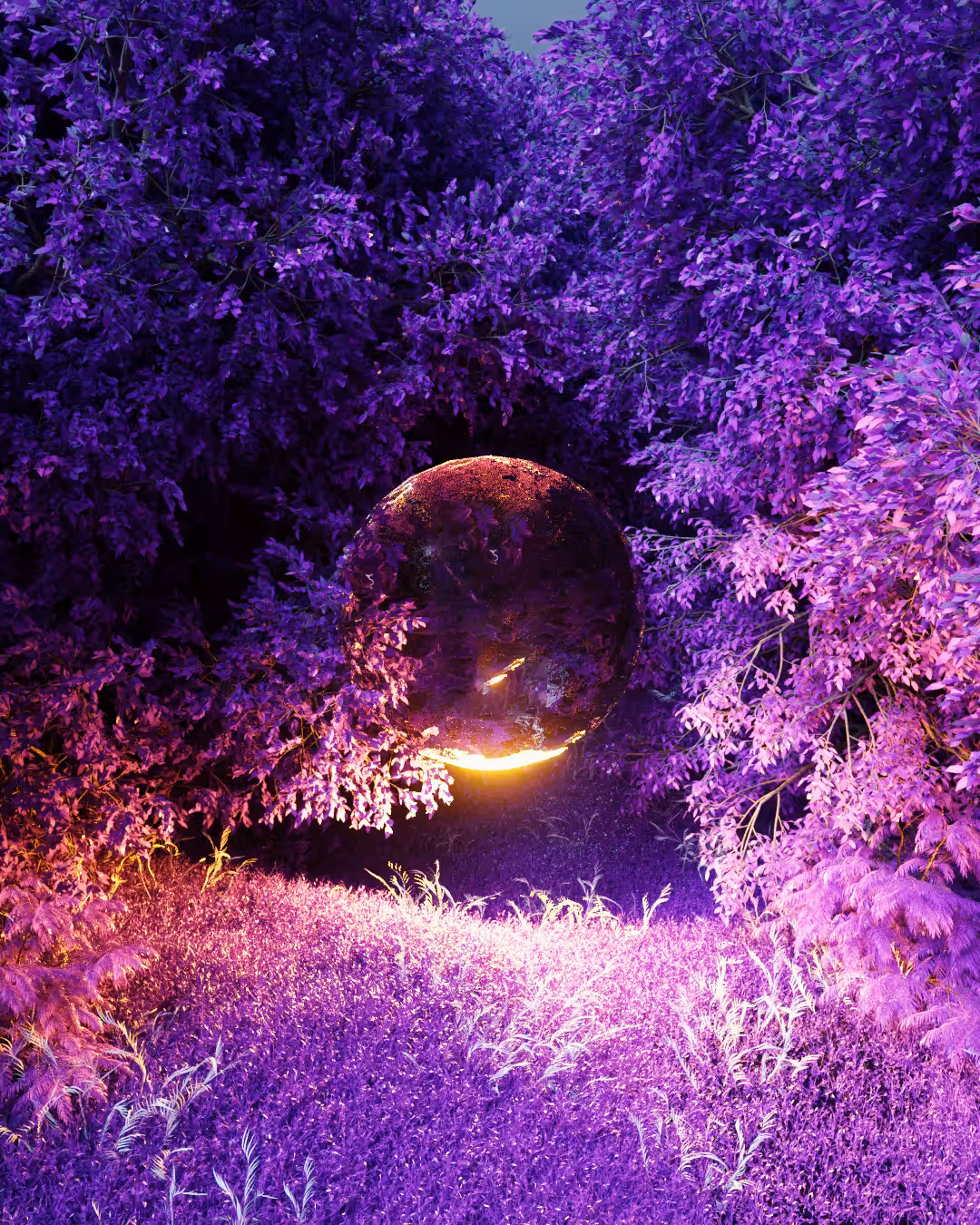 Purple Valley #05 Germany