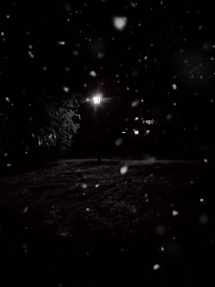Lonely Lantern
