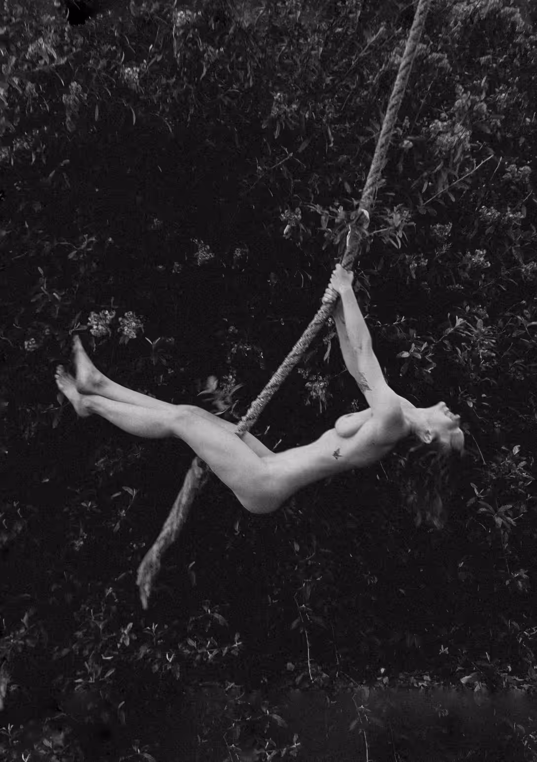 Suspended