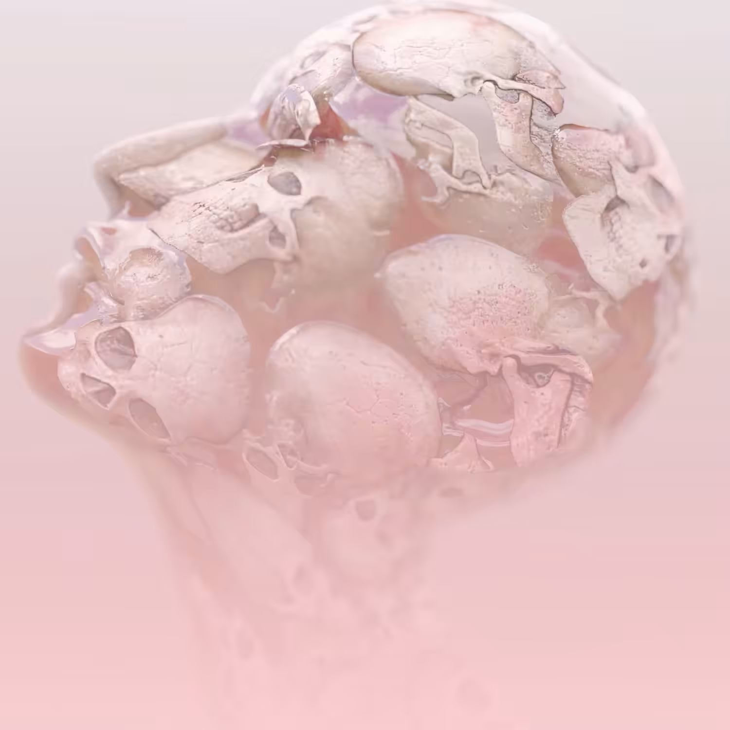 FILIALIS