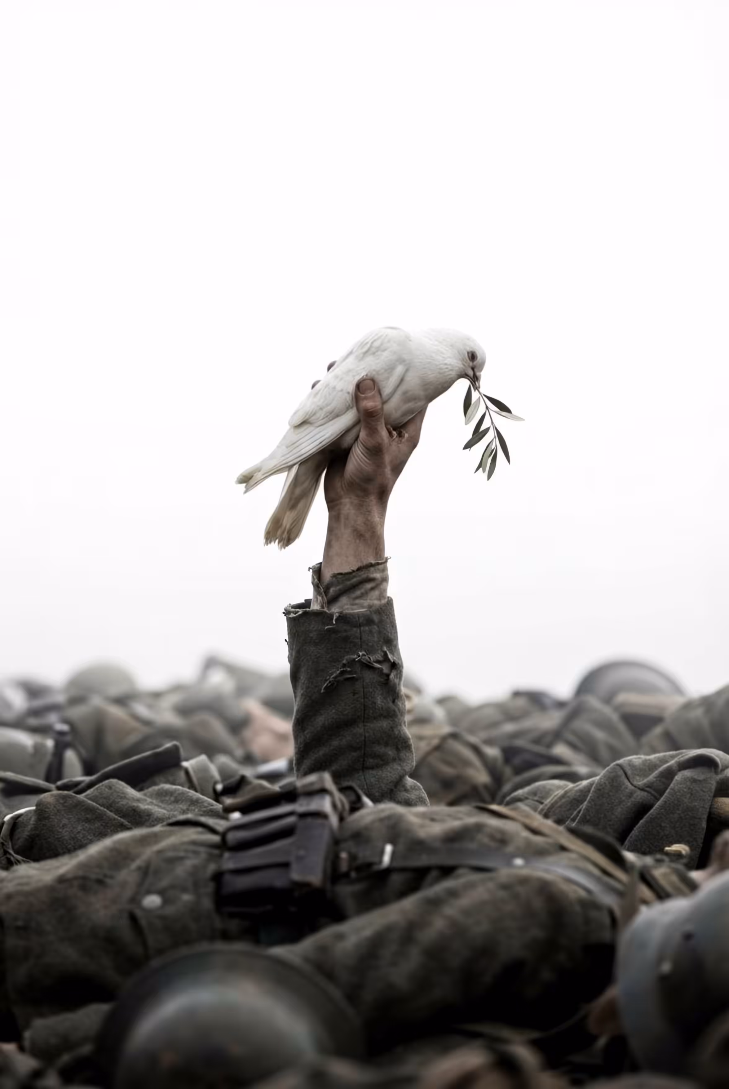 SEIZE PEACE