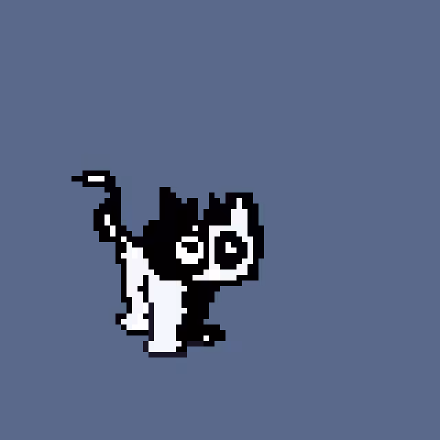 Kitty 