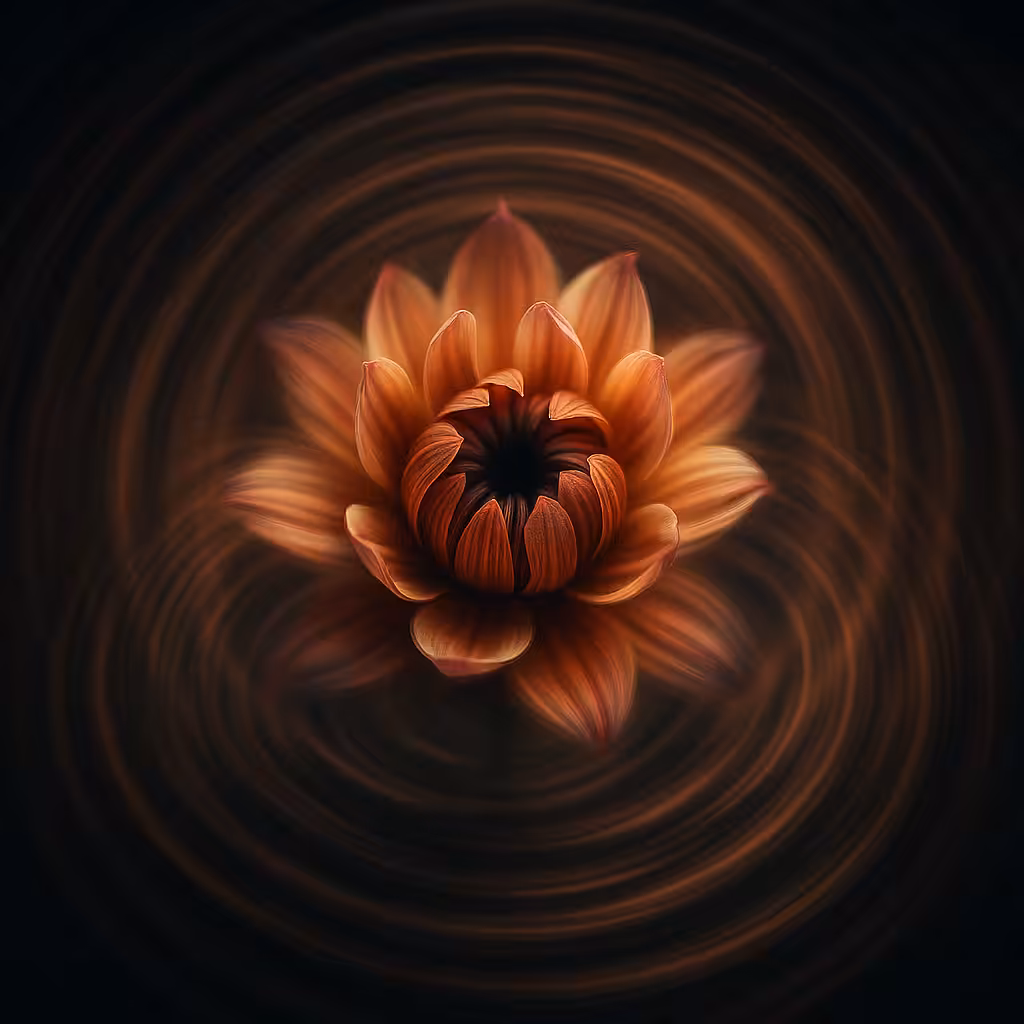 Echo Bloom 🌸( Inward motion, outward resonance )