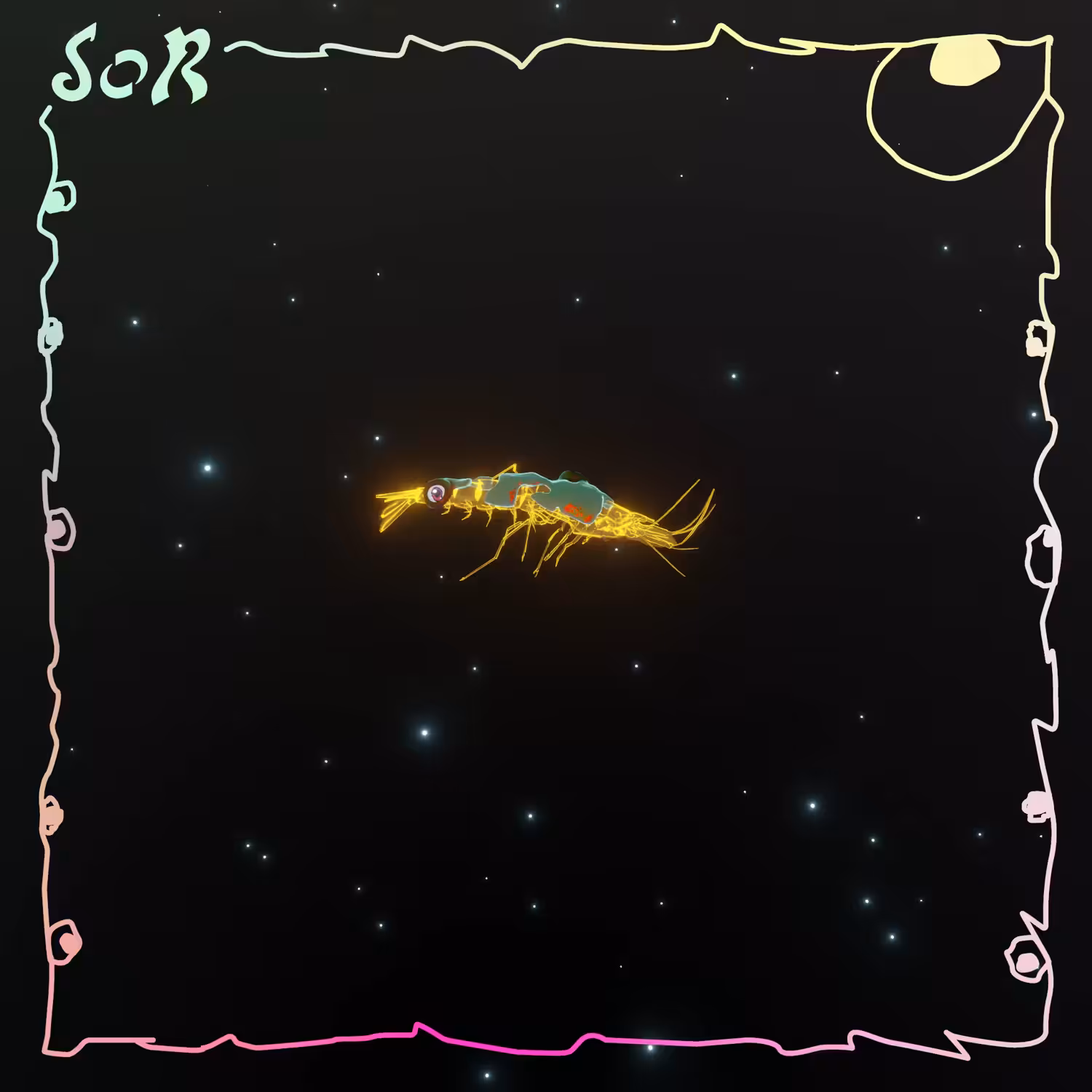 Shrimp #563
