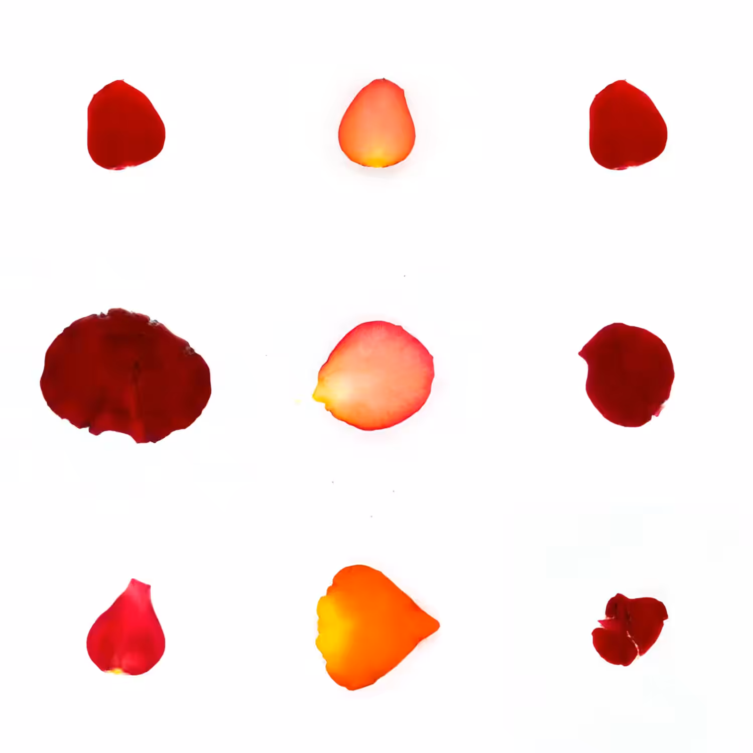 Infinite Petals 3x3#2774