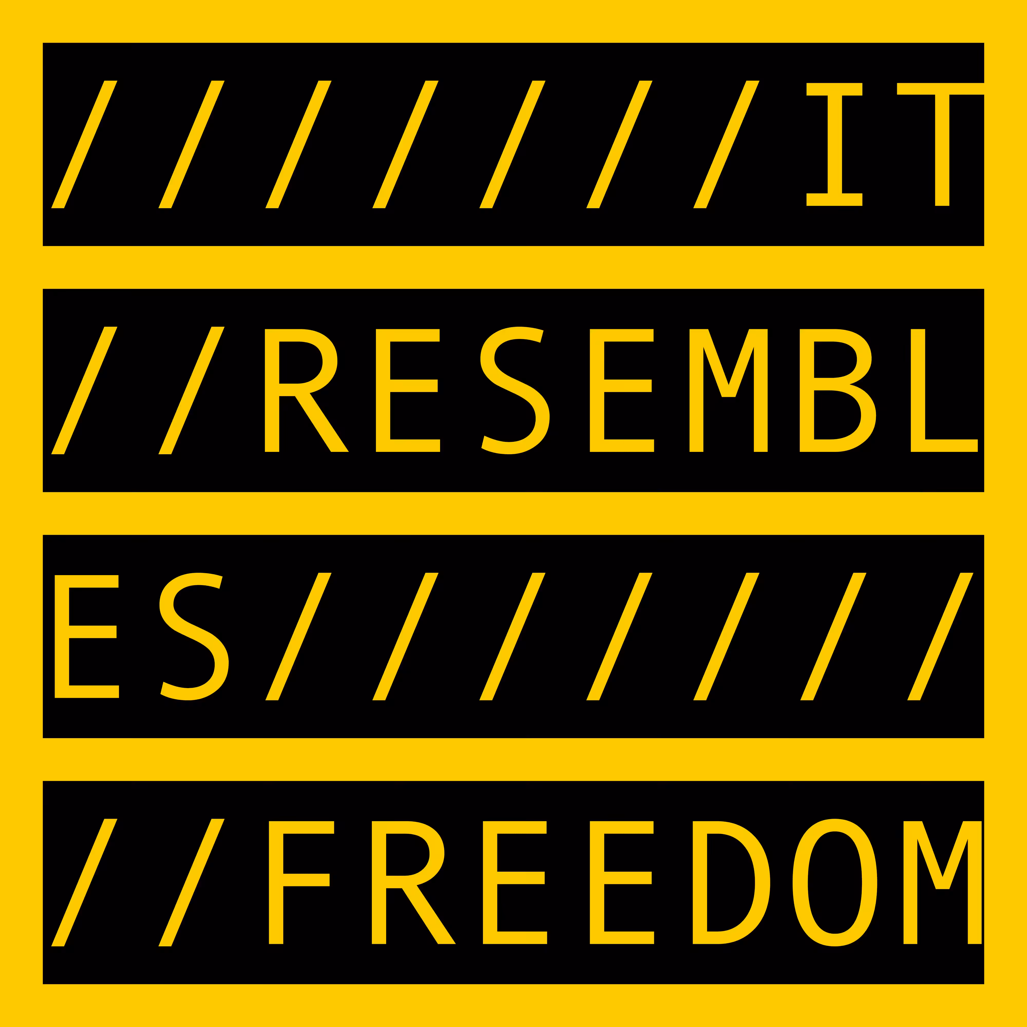 IT RESEMBLES FREEDOM