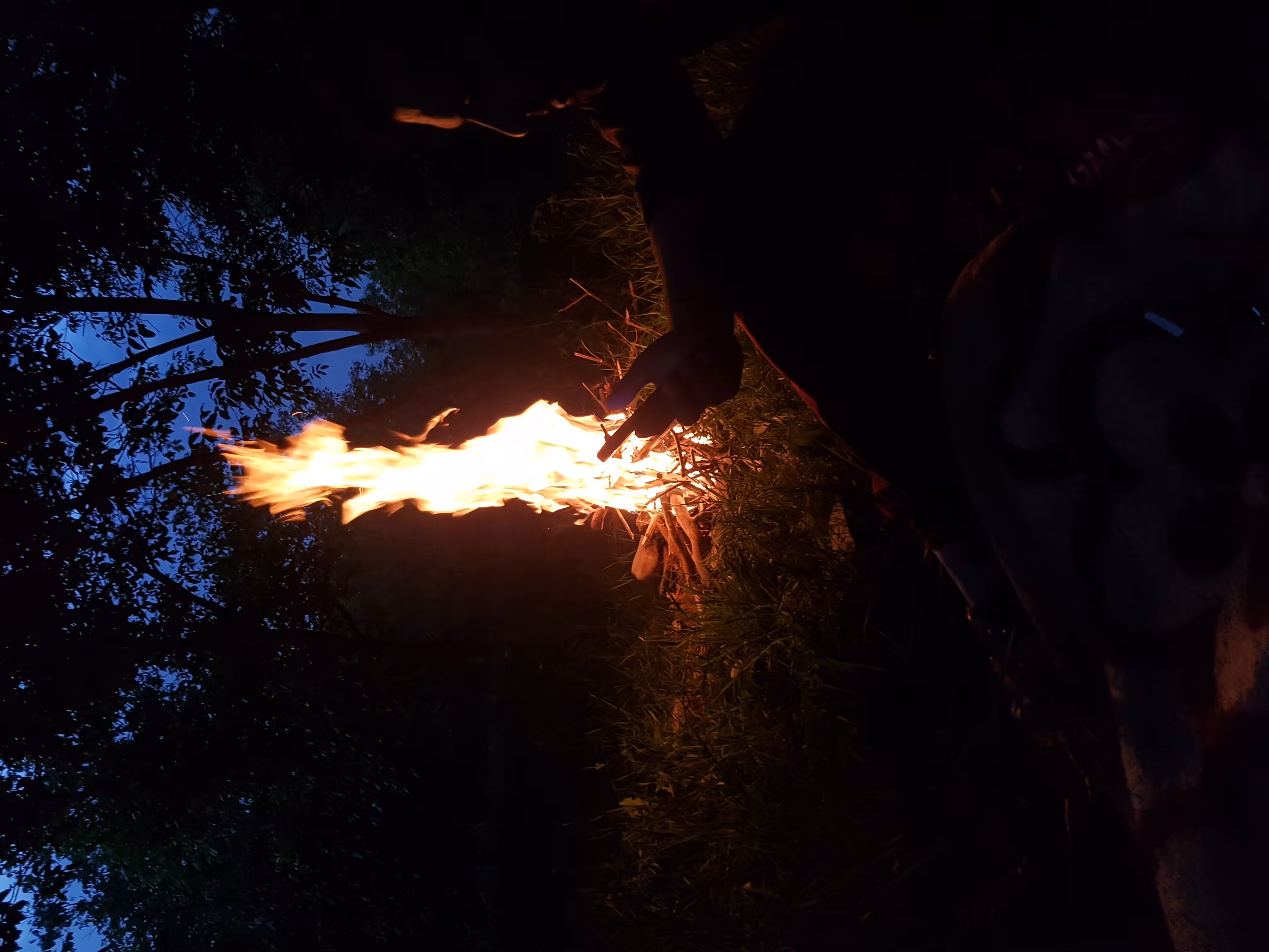 A fire in the night