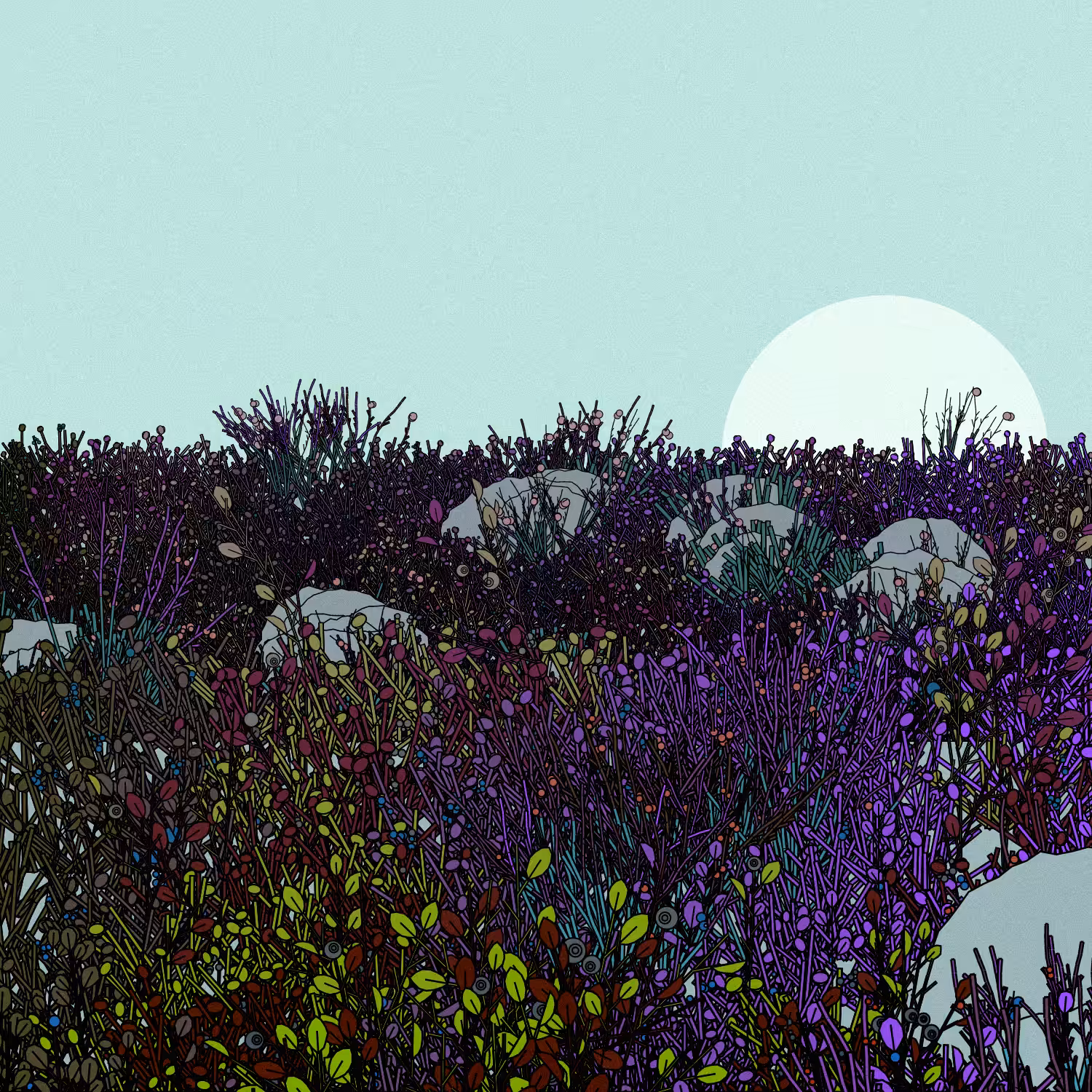Swedish Forest #57