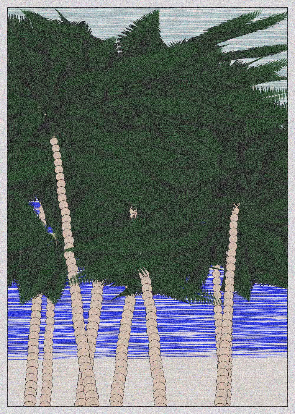 Hawaii #6