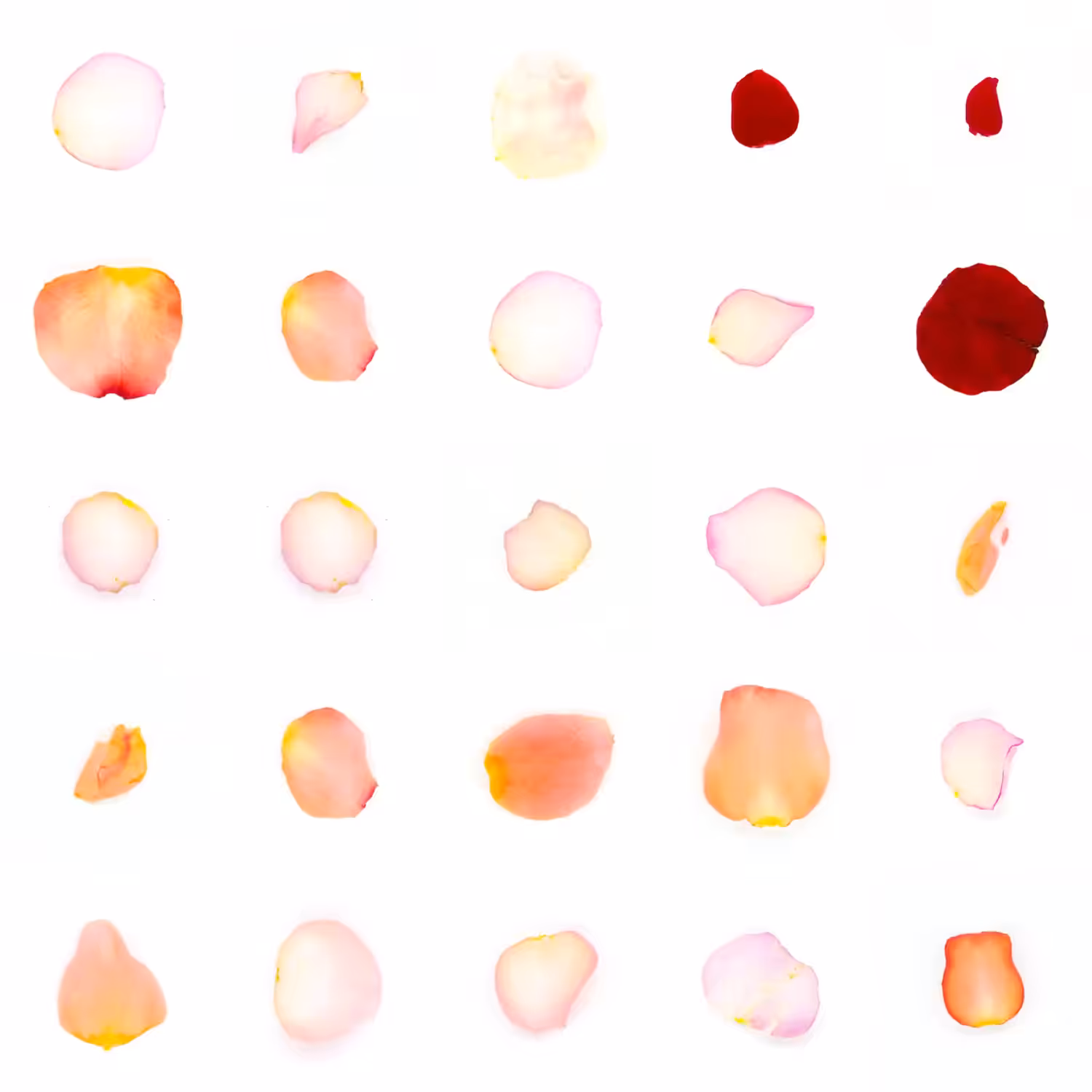 Infinite Petals 5x5#1365