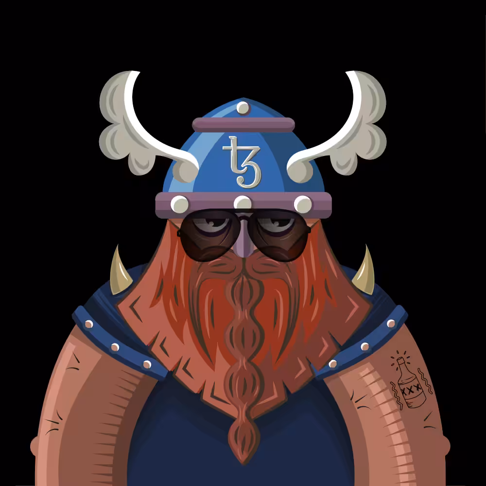 TEZ VIKINGS 13