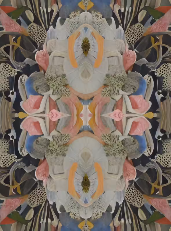 Mirror Matter #4
