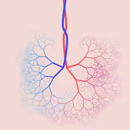 capillary trees #23